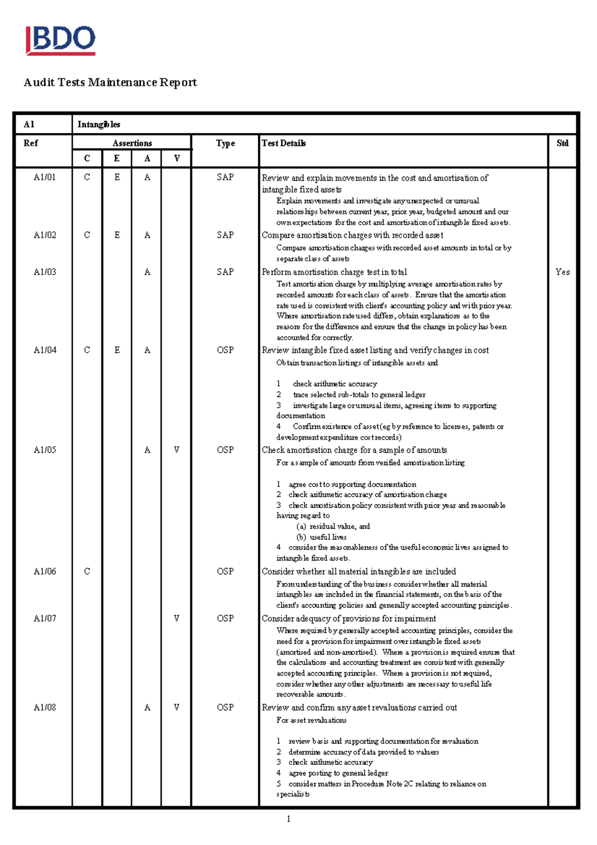 Audit Tests Maintenance Report A1 & A2: Intangibles & PPE Analysis ...