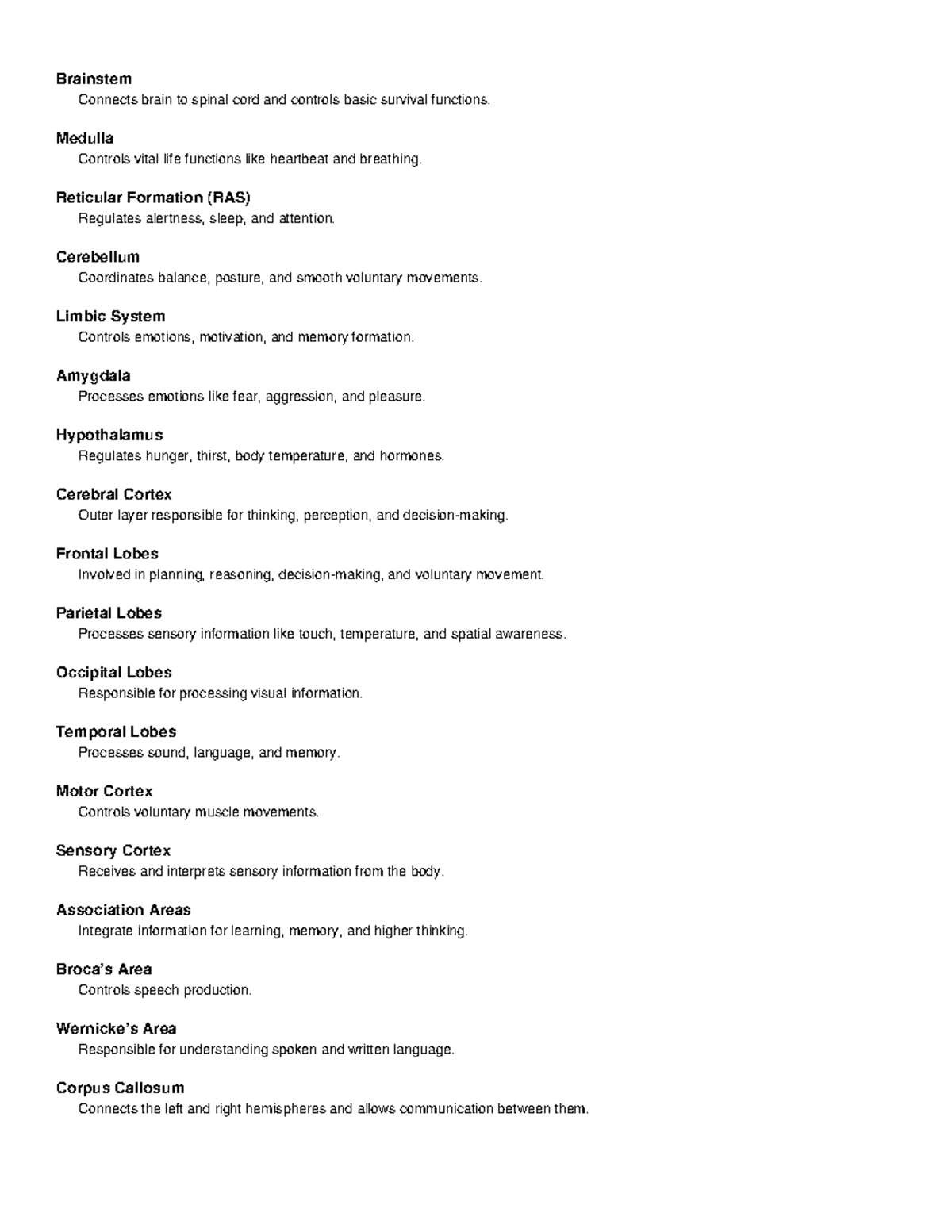 Brain Model Labels - Anatomy & Functions Overview (BIO101) - Studocu