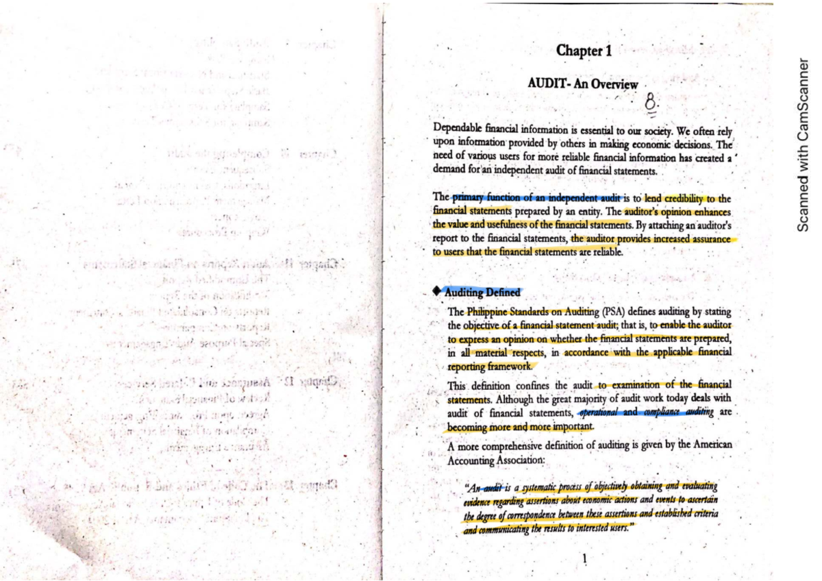 Chapter 1 - Overview of Auditing Principles and Practices - Studocu