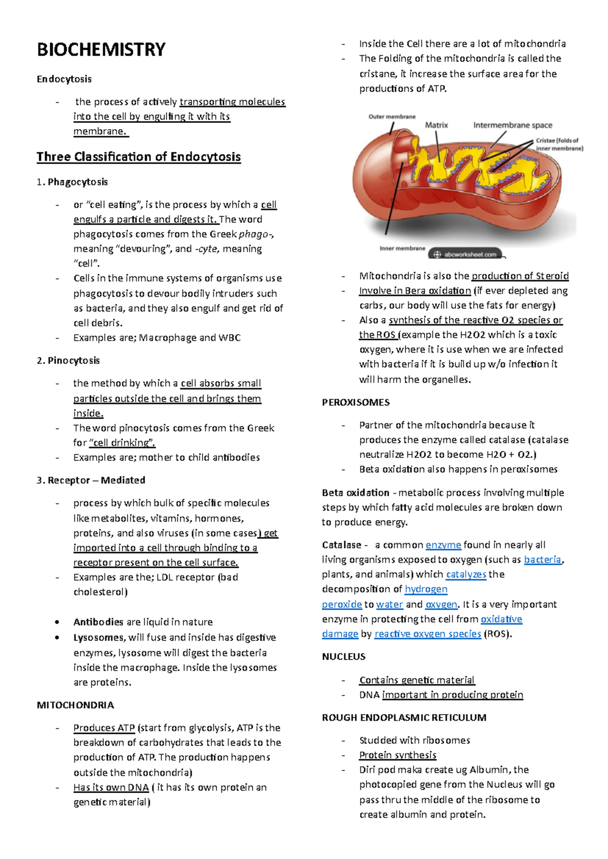 Prelim biochemistry - BIOCHEMISTRY Endocytosis - the process of ...