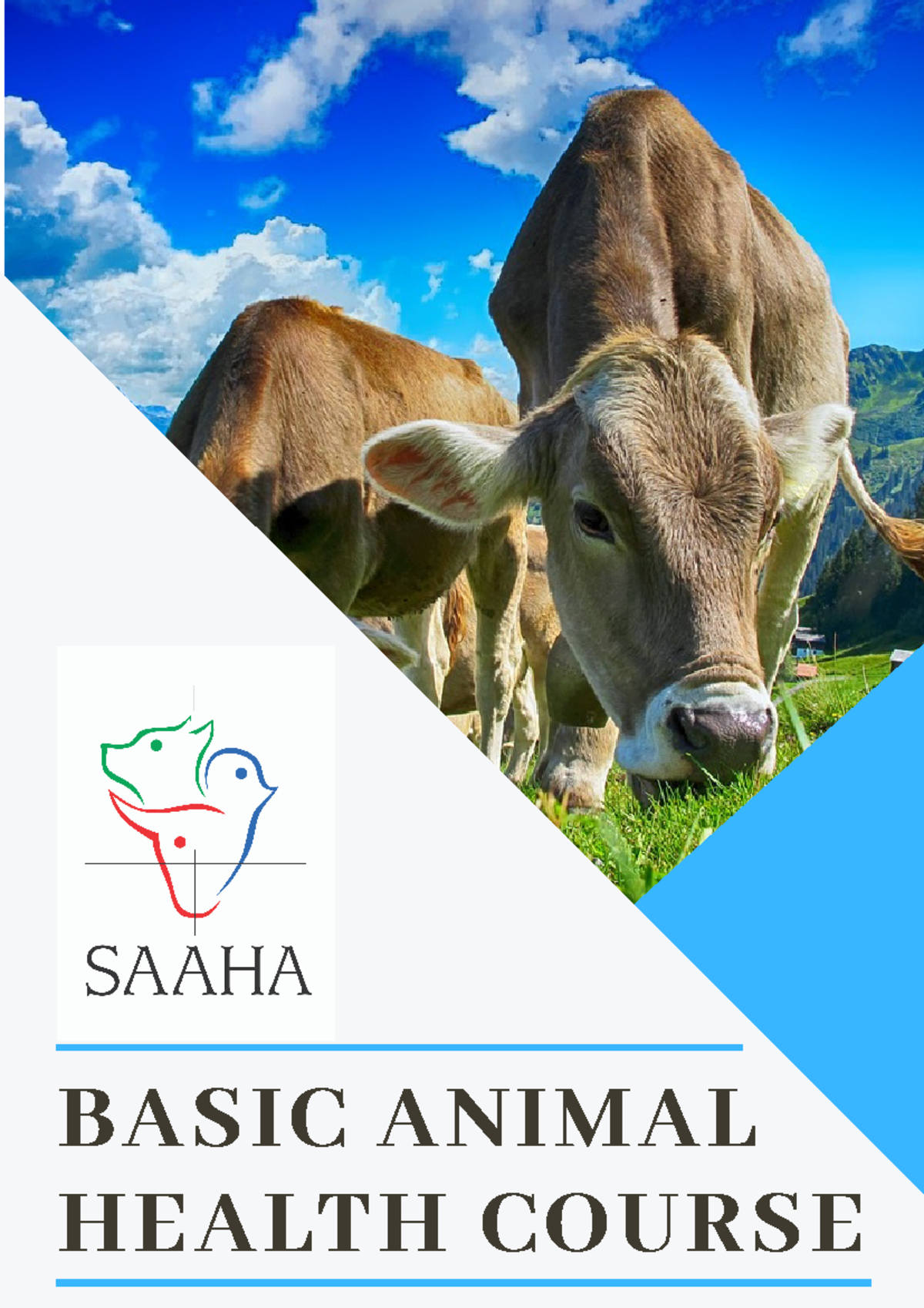 Basic Animal Health Course Overview and Module Structure - Studocu