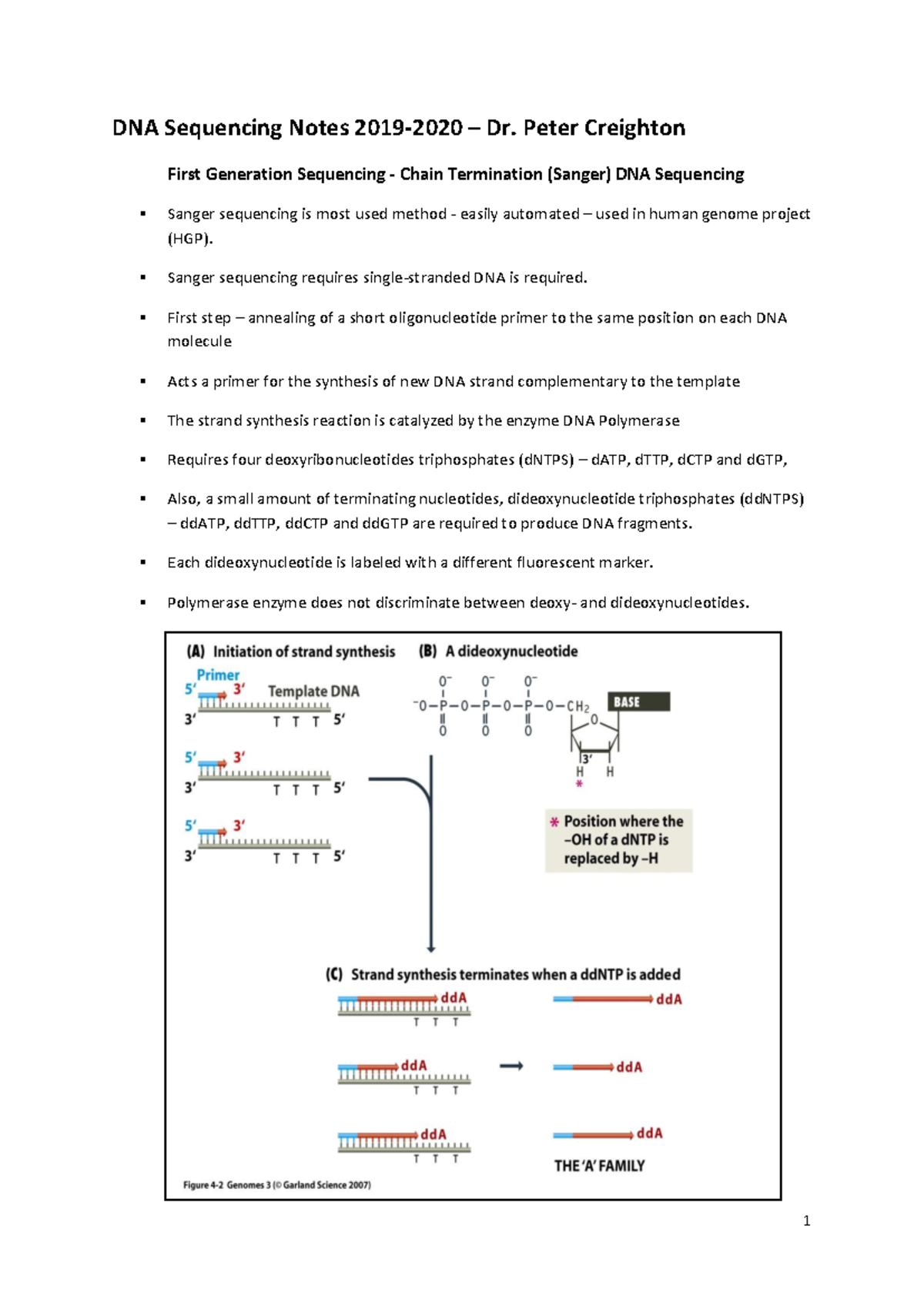 BI448 DNA Sequencing Notes: Chain Termination and Beyond (2019-20 ...