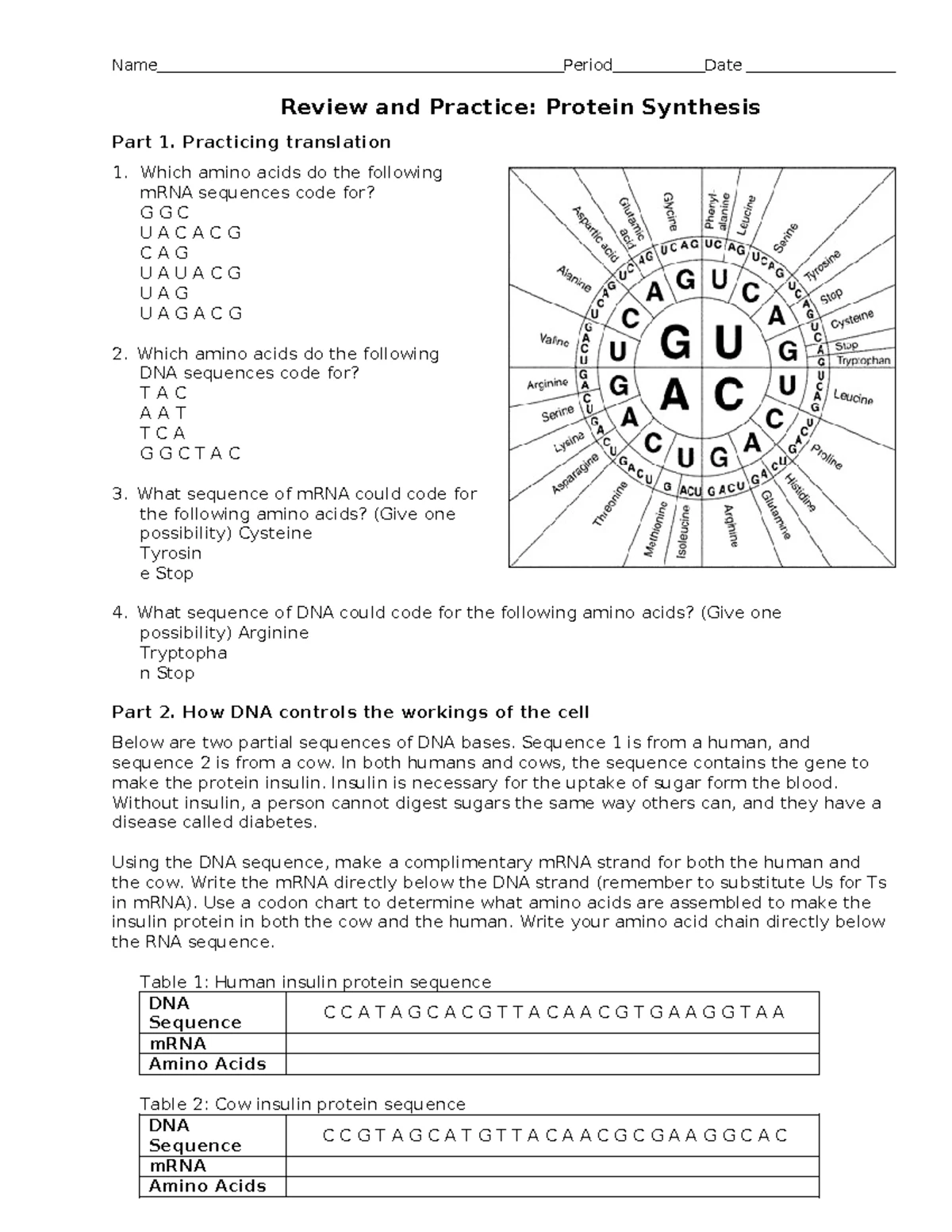 DNA & Replication: Key Concepts & Detailed Notes for Study - Studocu