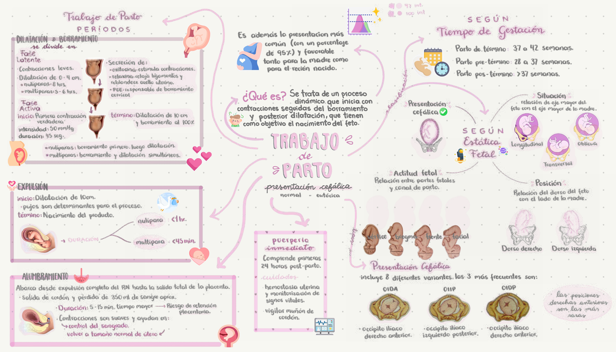 Trabajo de Parto 100: Apuntes y Mapas Mentales de Obstetricia - Studocu