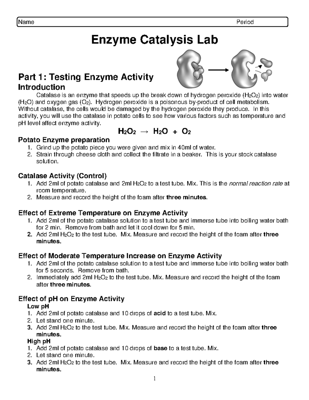 Enzyme Catalysis Lab (BIO 101): Testing Activity & Factors Affecting ...