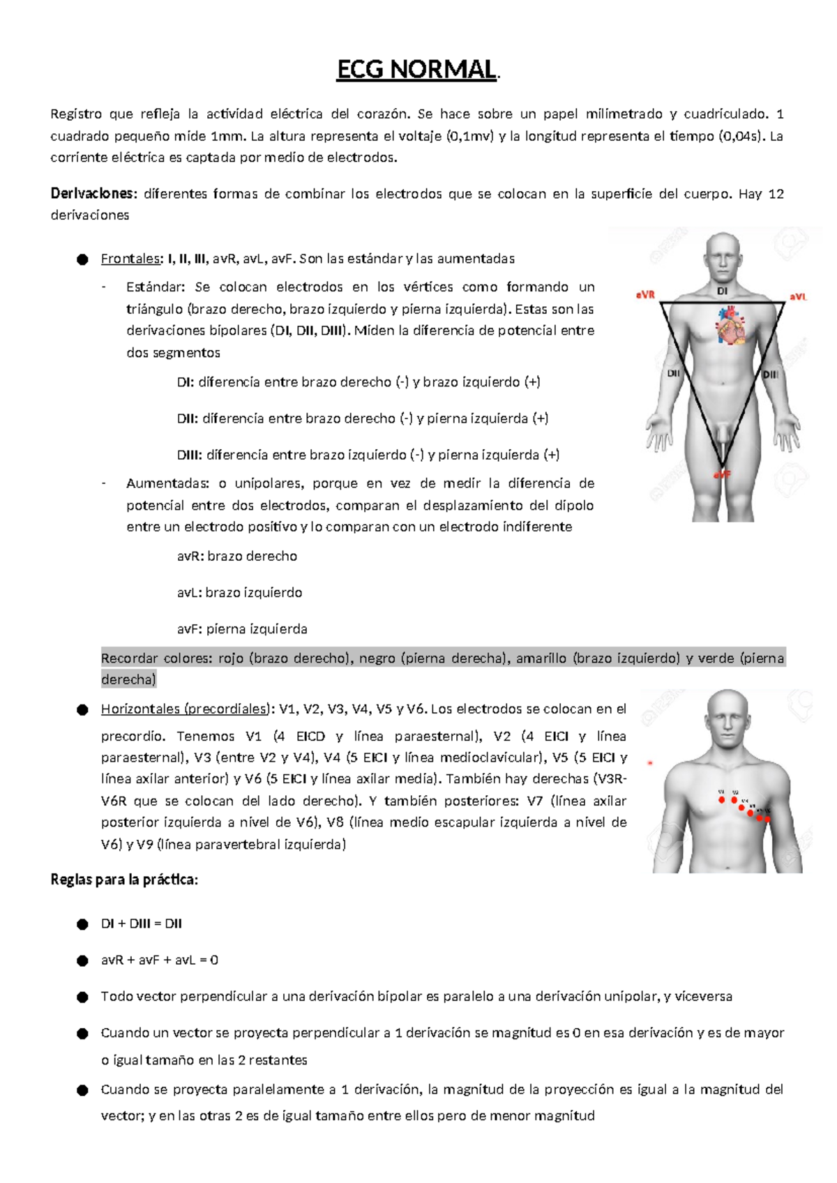ECG NORMAL (ECG 101): Actividad Eléctrica del Corazón y Derivaciones ...