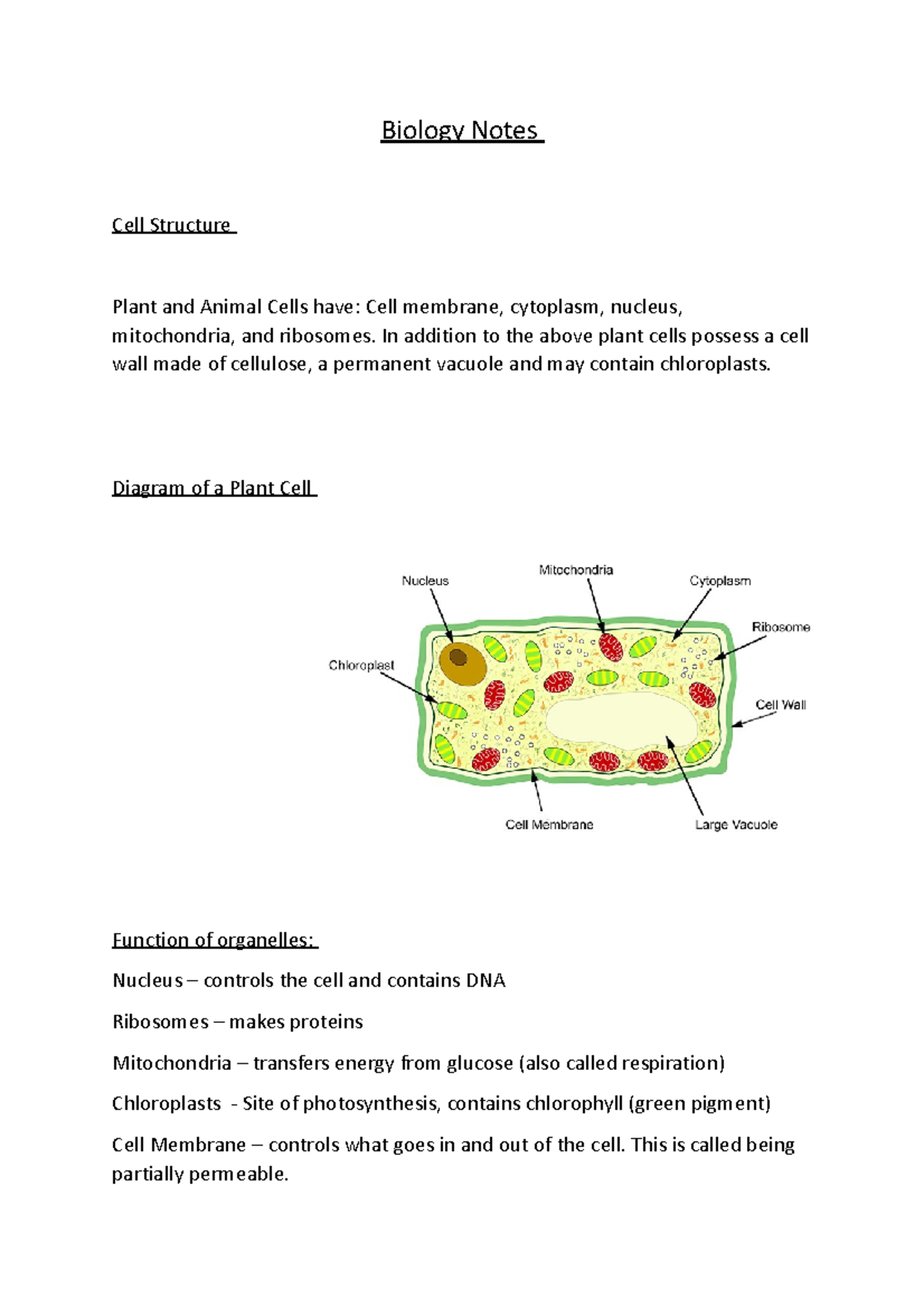 Biology Lecture Notes: Cell Structures & Transport Mechanisms - Studocu