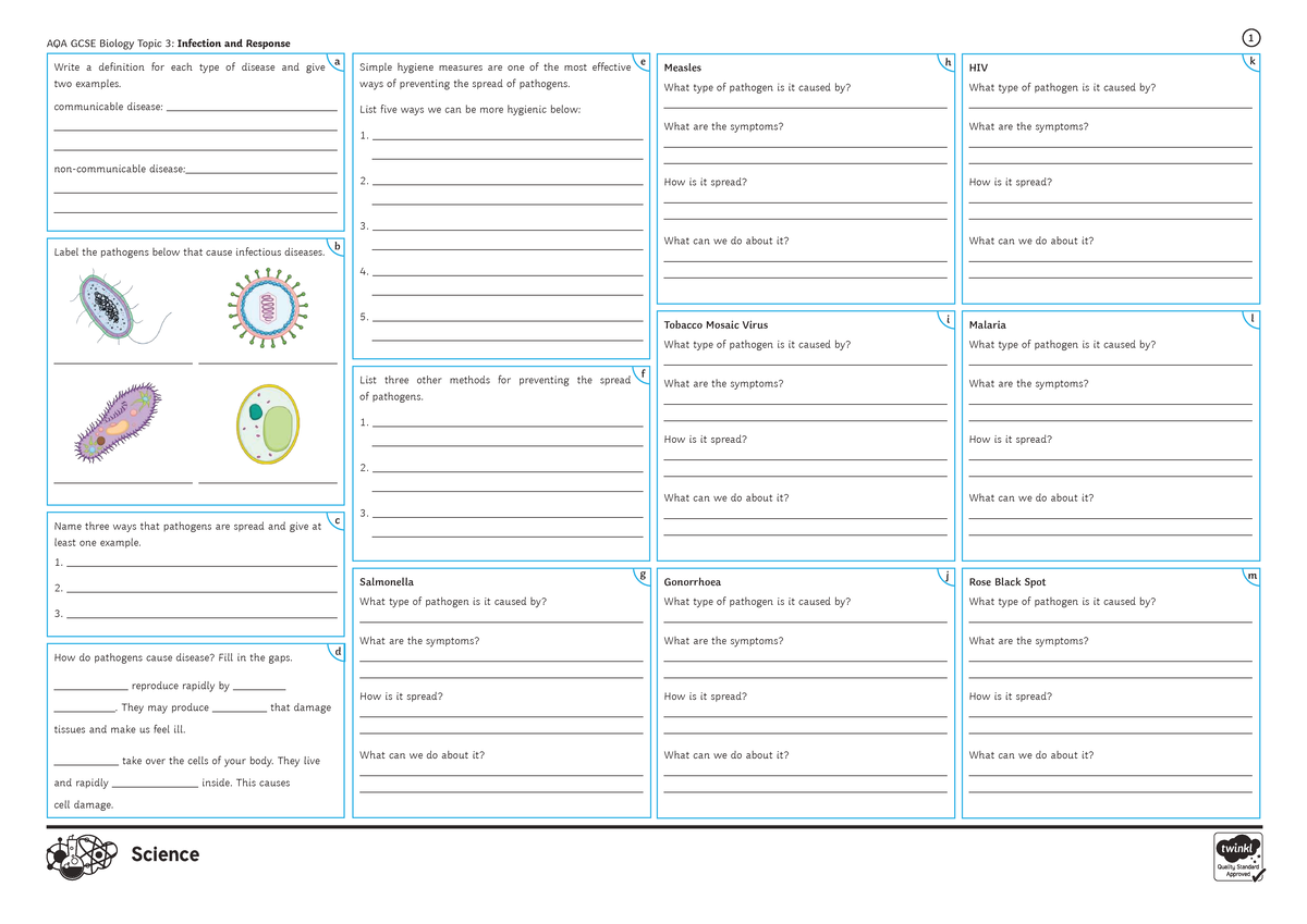 AQA GCSE Biology Topic 3: Infection and Response Revision Notes - Studocu