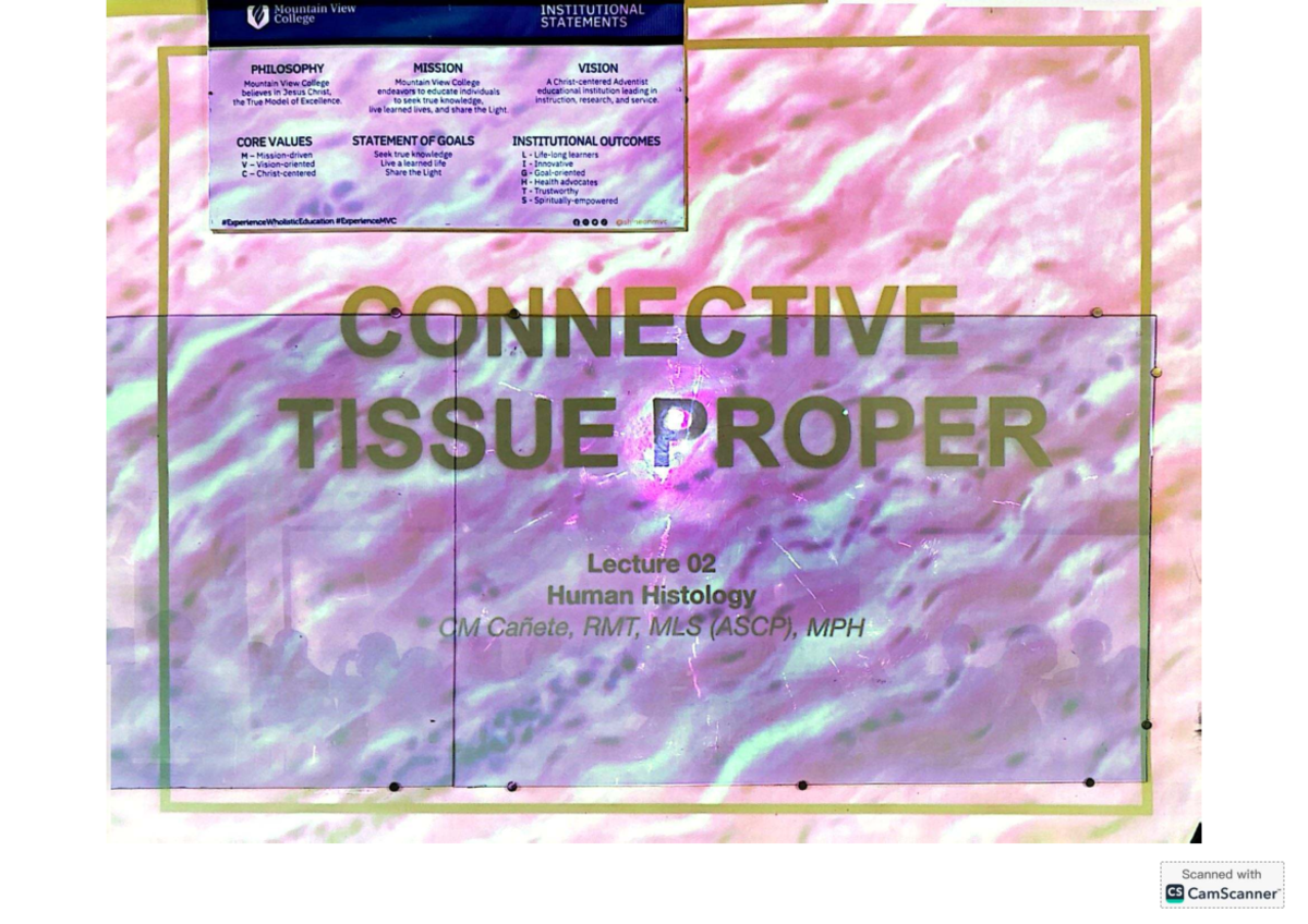 Chapter 3: Connective Tissue Overview - Human Histology CM Cañete, RMT ...