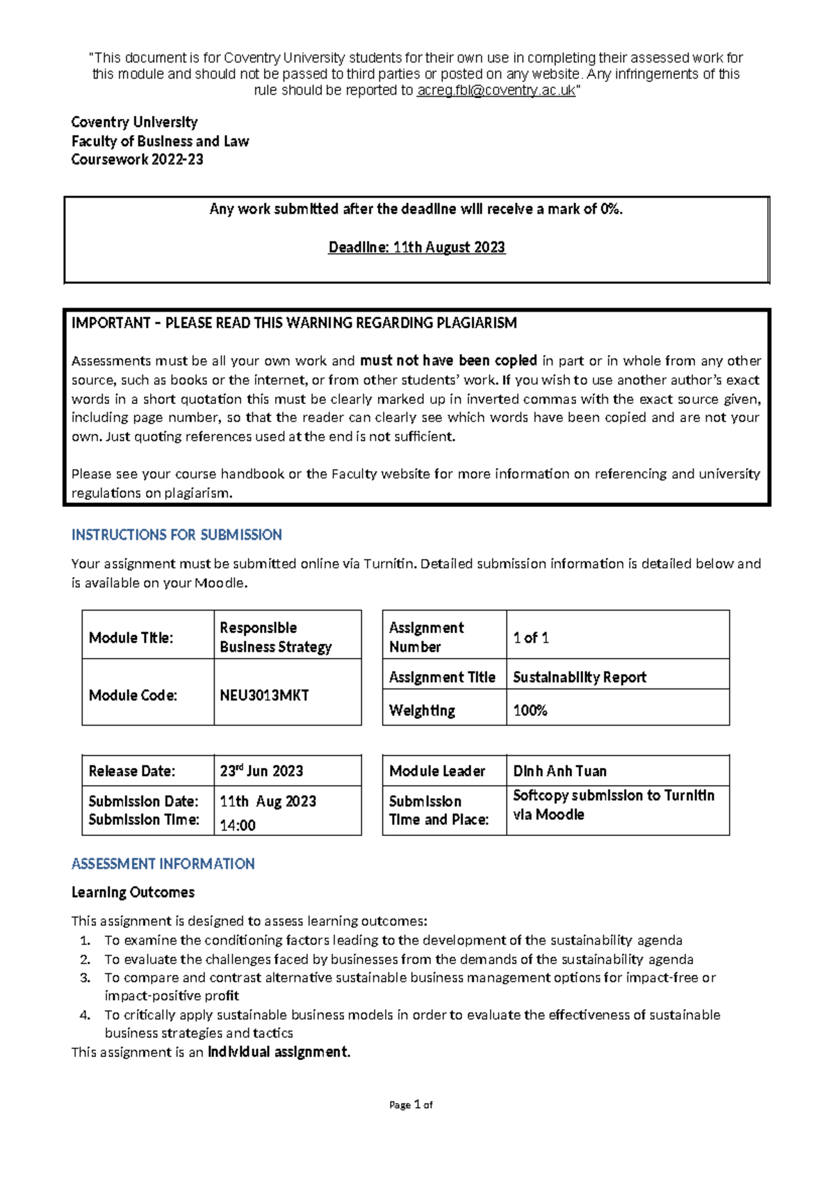 NEU3013MKT Responsible Business Strategy Resit Coursework ...