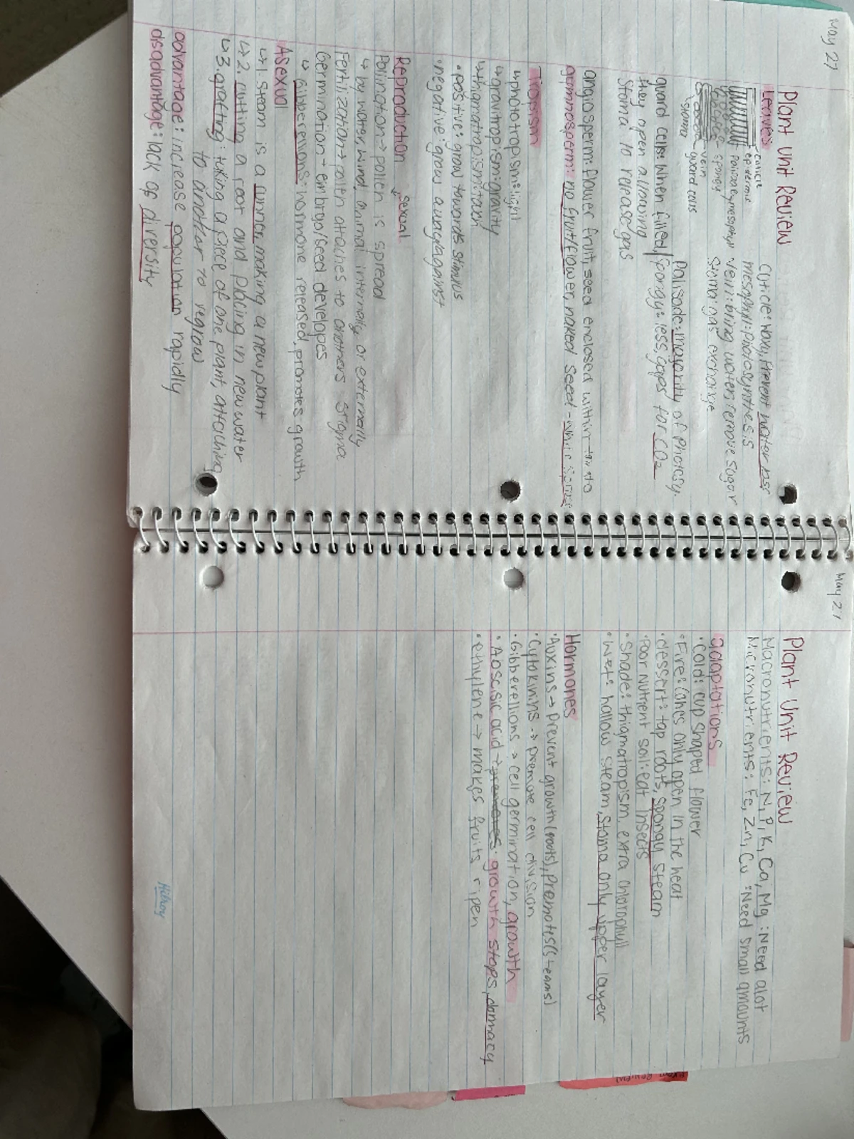 SBI3U Final Exam Review Notes - Biology January 2025 - Studocu