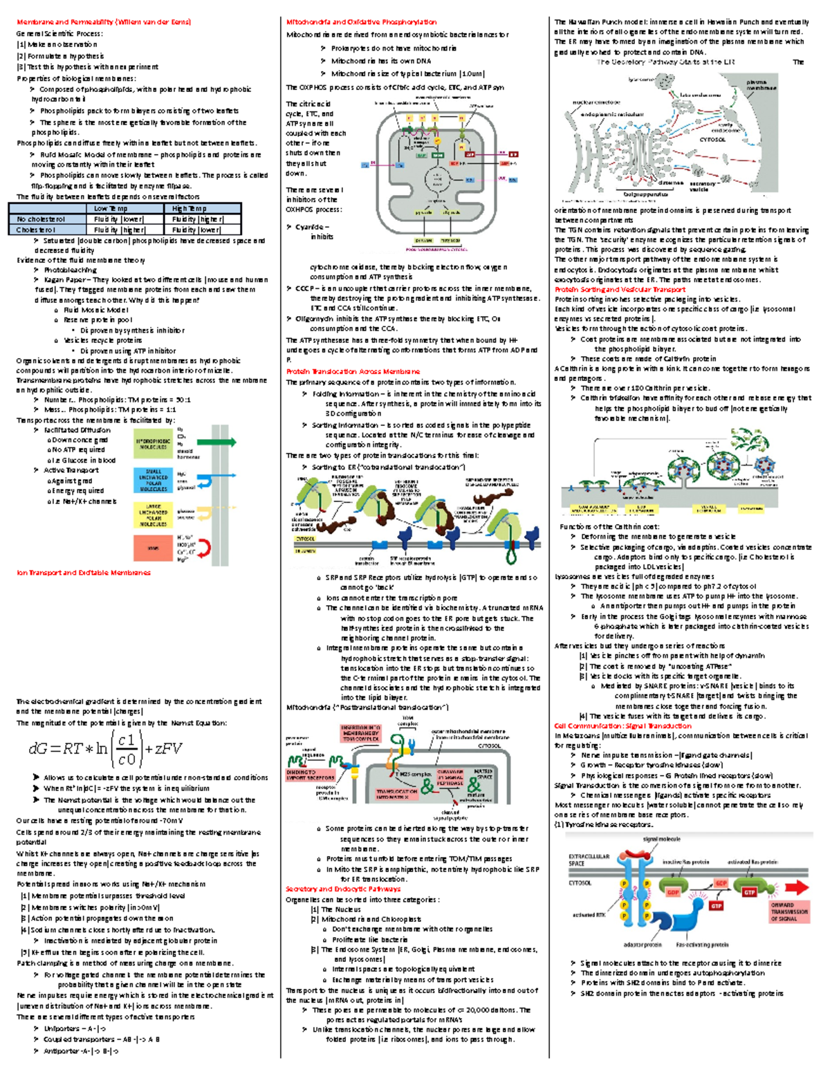 BIOL 101: Final Exam Cheat Sheet on Membranes and Cancer Dynamics - Studocu