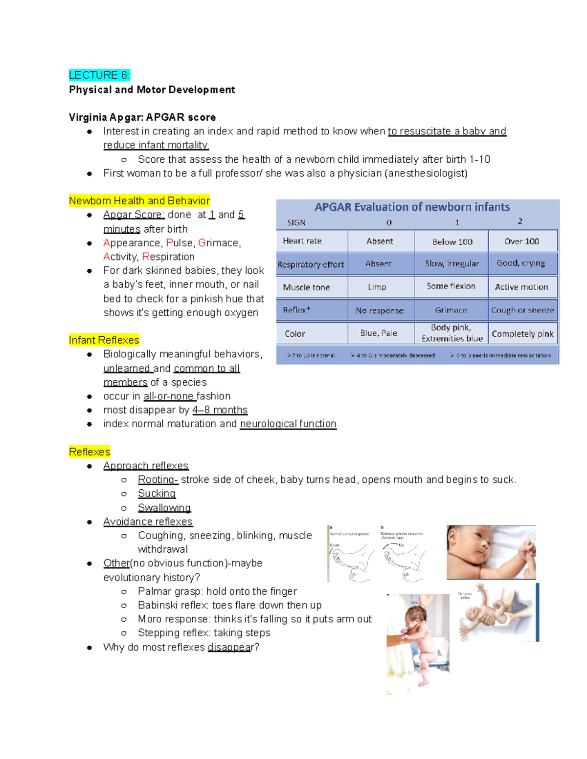Psych 456 Exam 2: Key Lec Notes on Physical & Motor Development - Studocu
