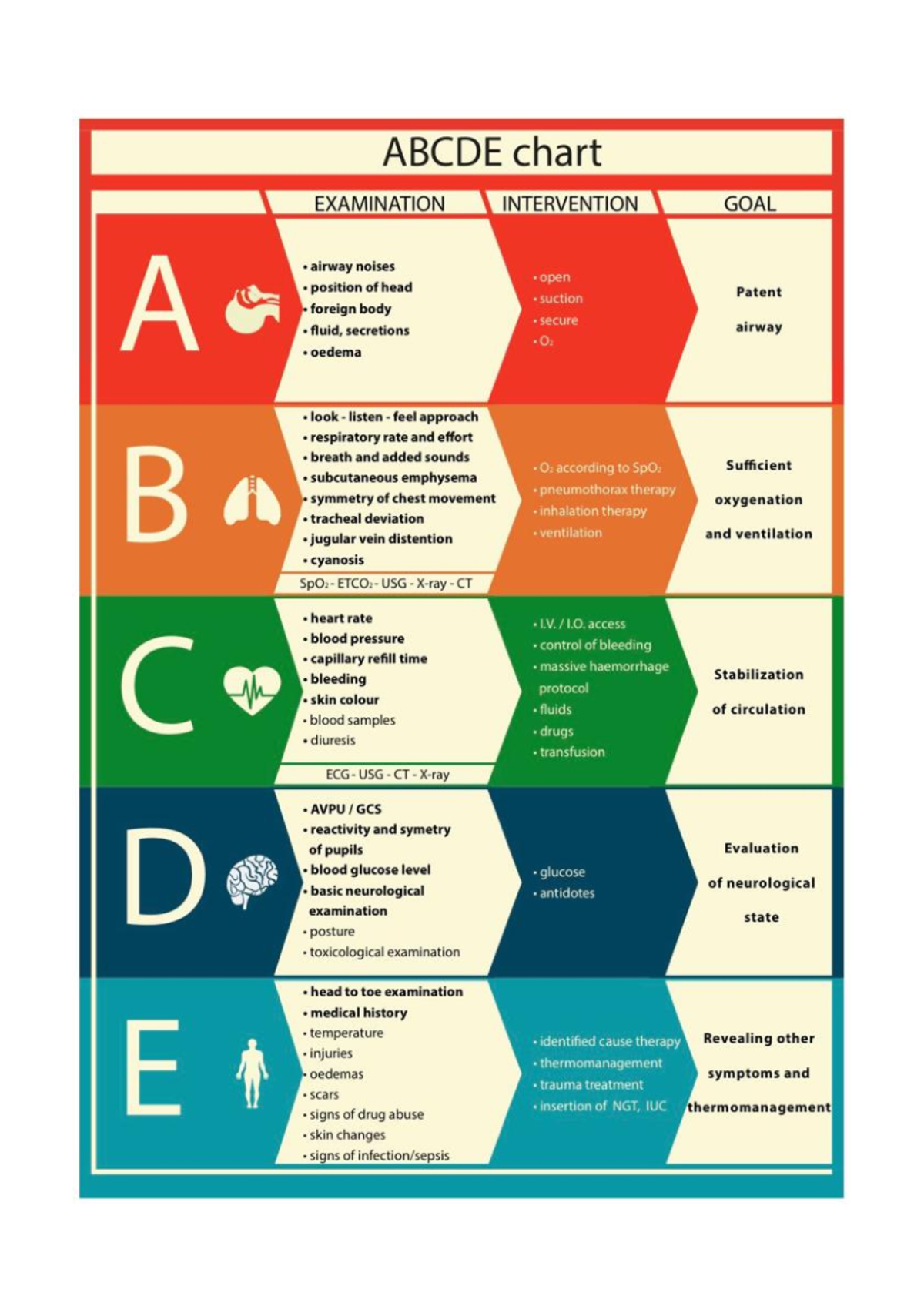 ABCDE Chart: Examination, Intervention, and Goals for Emergency Care ...