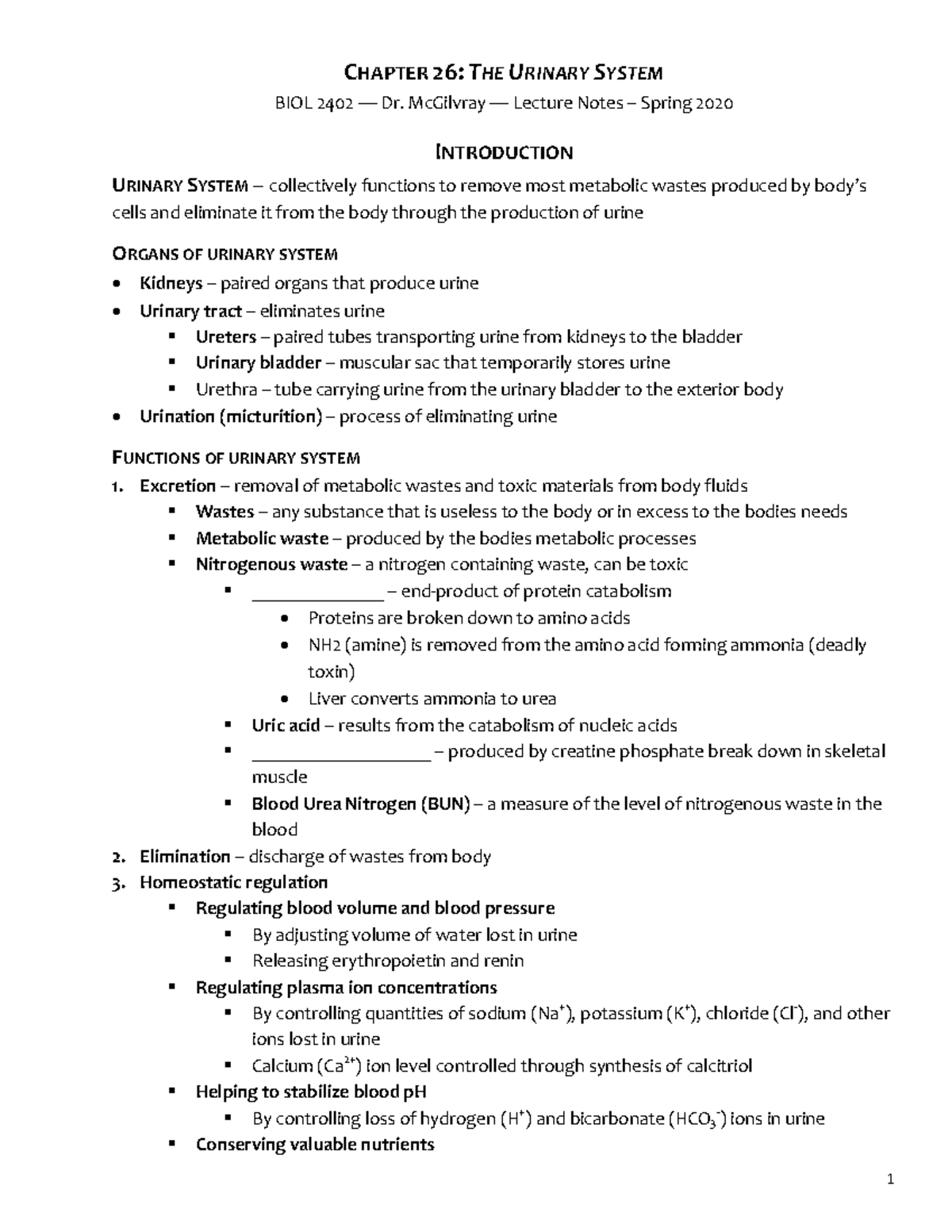 Urinary System Functionality and Structure (BIOL 2402 Lecture Notes ...