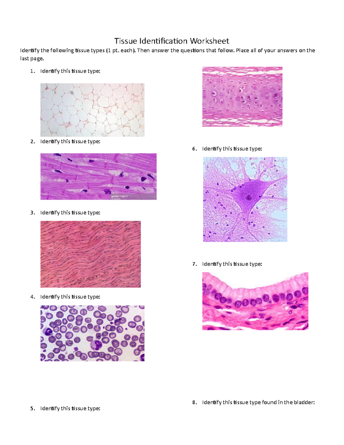 Connective Tissue Labeling: Test Your Anatomy Knowledge - cluxrq1