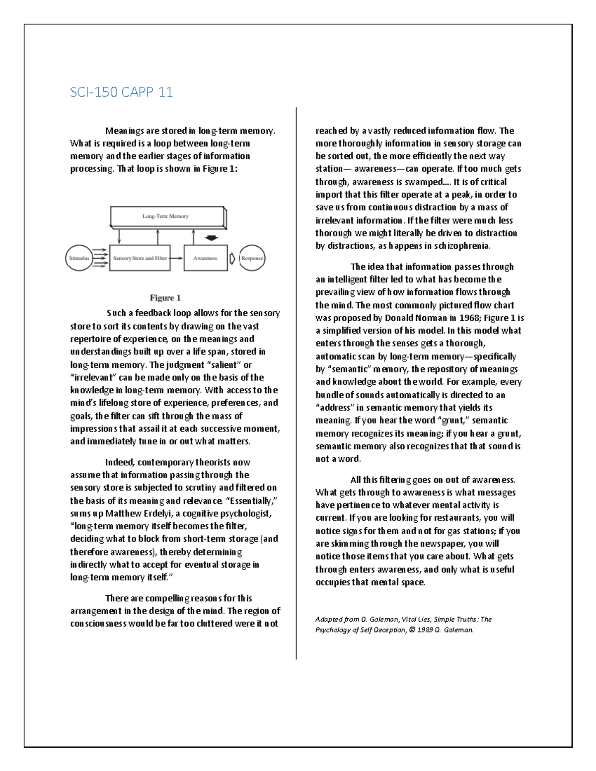 CAPP 11 - Understanding Long-Term Memory and Information Processing ...