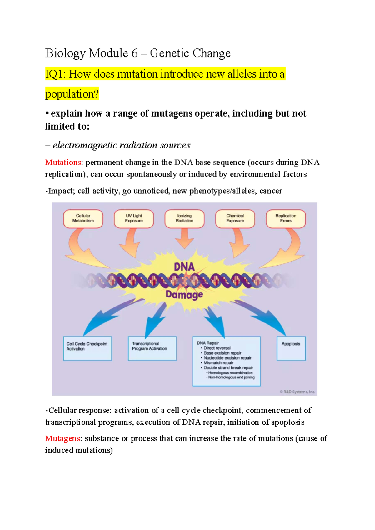 Biology Module 6: Genetic Change and Mutation Mechanisms - Studocu