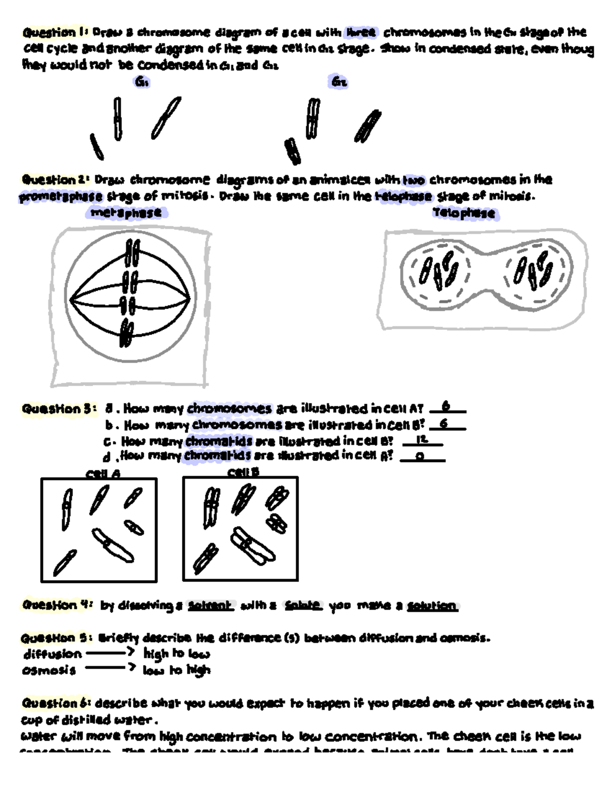 Bio 120 Study Prep: Lab 2 & 3 Review Guide - Studocu