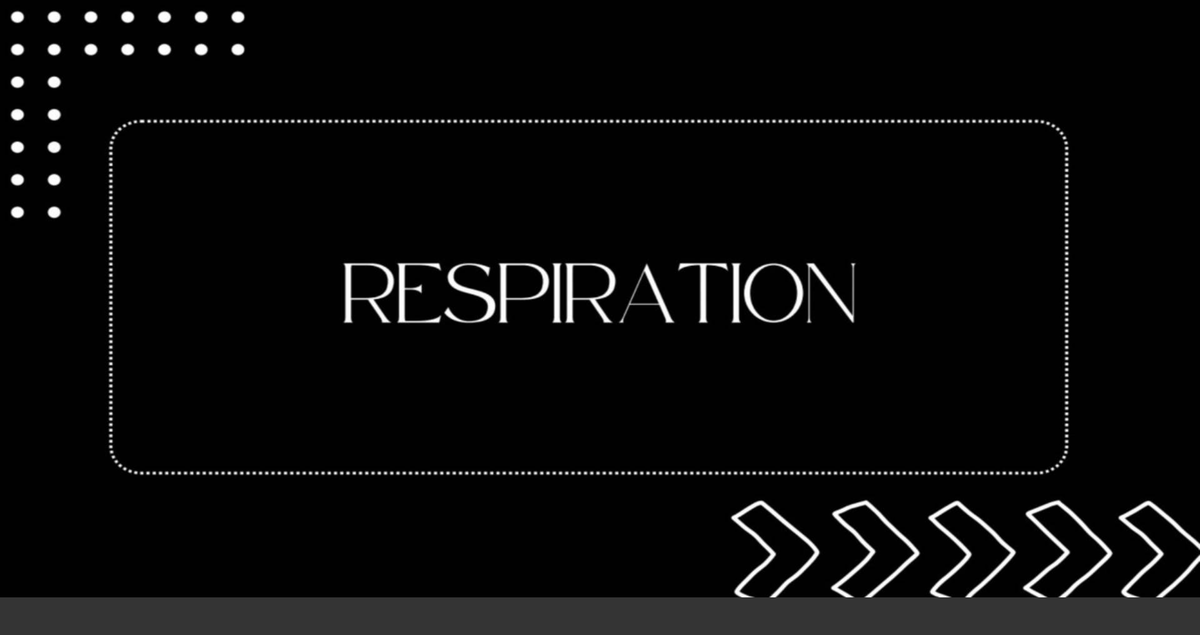 Biology CHS 2c: Understanding Respiration and Energy Release in ...