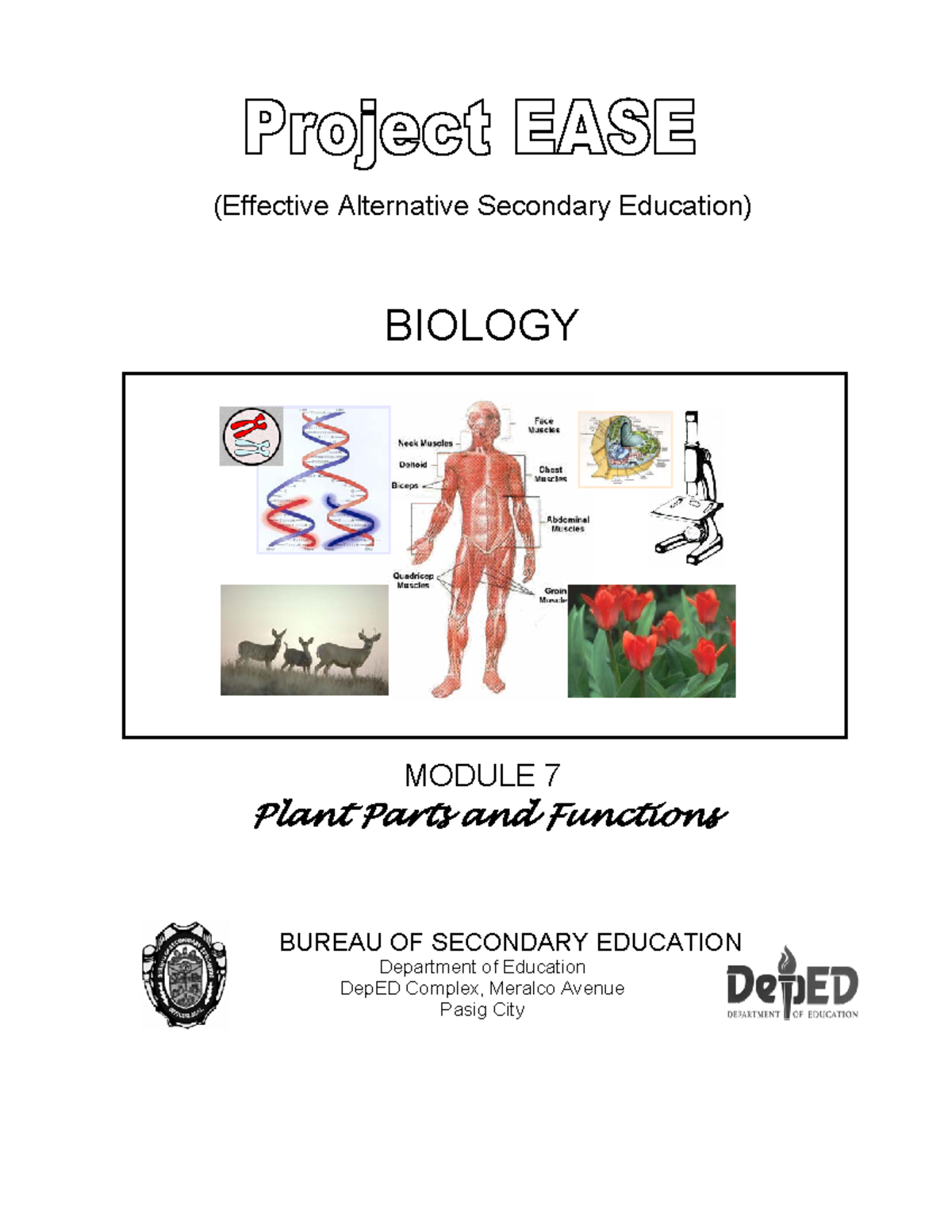 BIOLOGY 7: Module 7 - Plant Parts & Functions Overview - Studocu