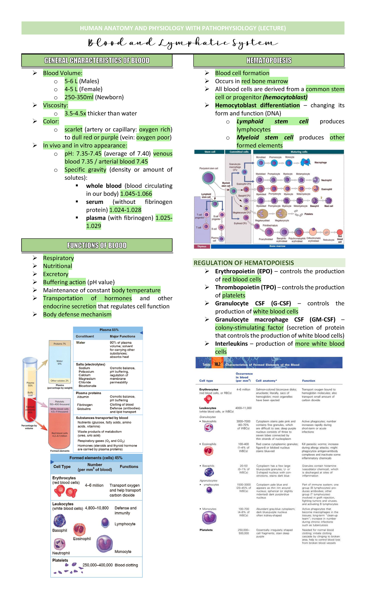 HUMAN ANATOMY AND PHYSIOLOGY WITH PATHOPHYSIOLOGY (LECTURE) Blood ...