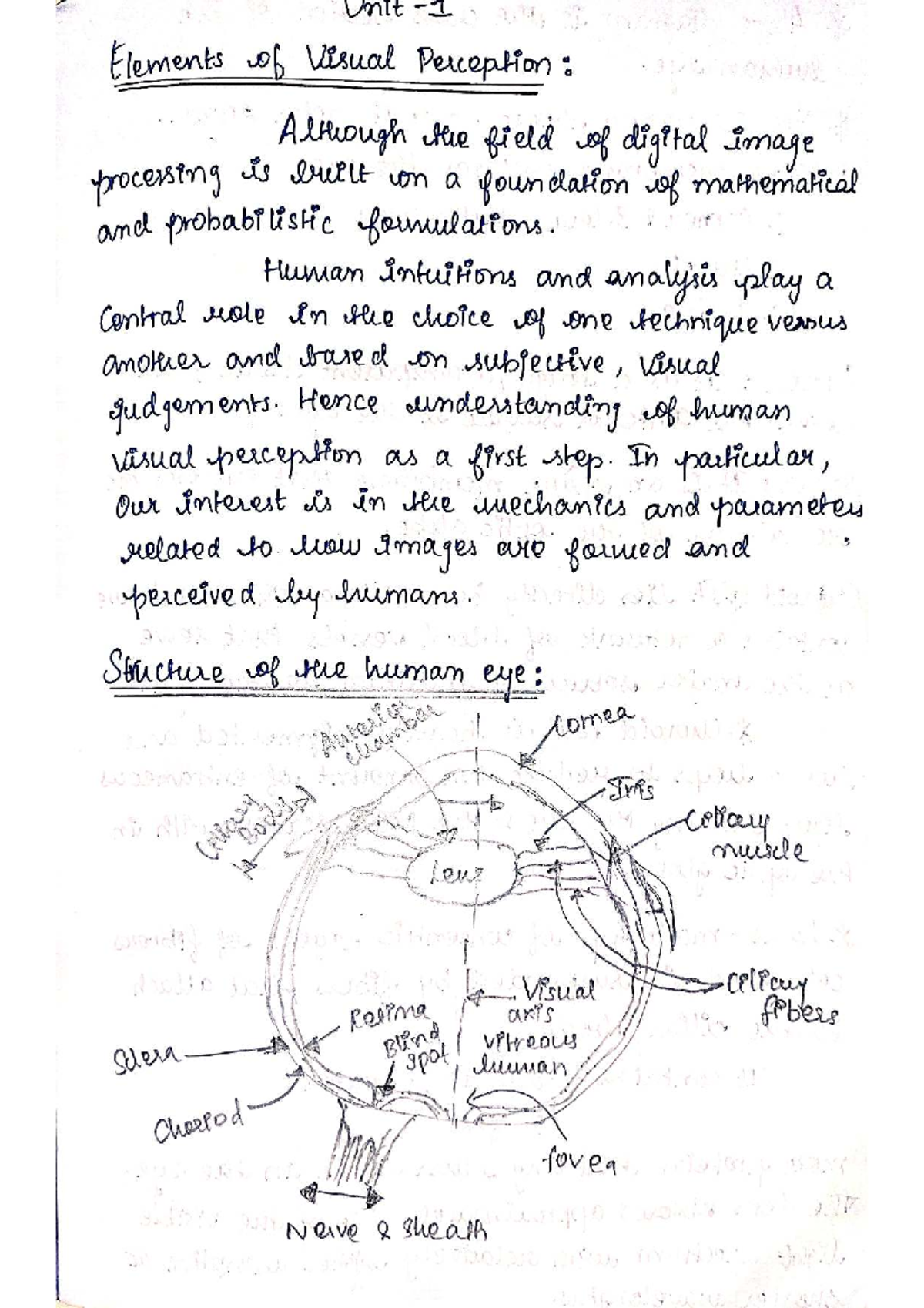 DIP - Unit 1: Comprehensive Study Notes and Key Concepts - Studocu