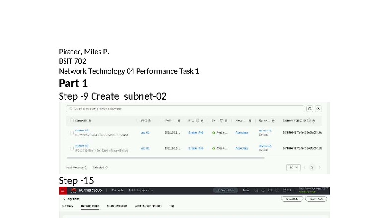 BSIT 702 Network Technology: Performance Task 1 Steps for Ping Login ...
