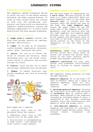 Lymphatic-System - Summary Anatomía Humana - ANATOMY AND PHYSIOLOGY ...