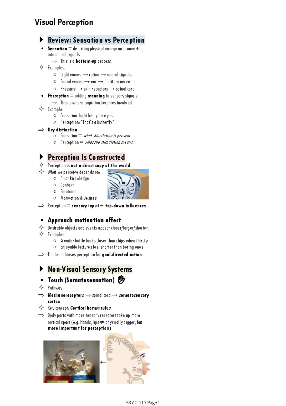 PSYC 213 Visual Perception Review: Sensation vs. Perception Insights ...