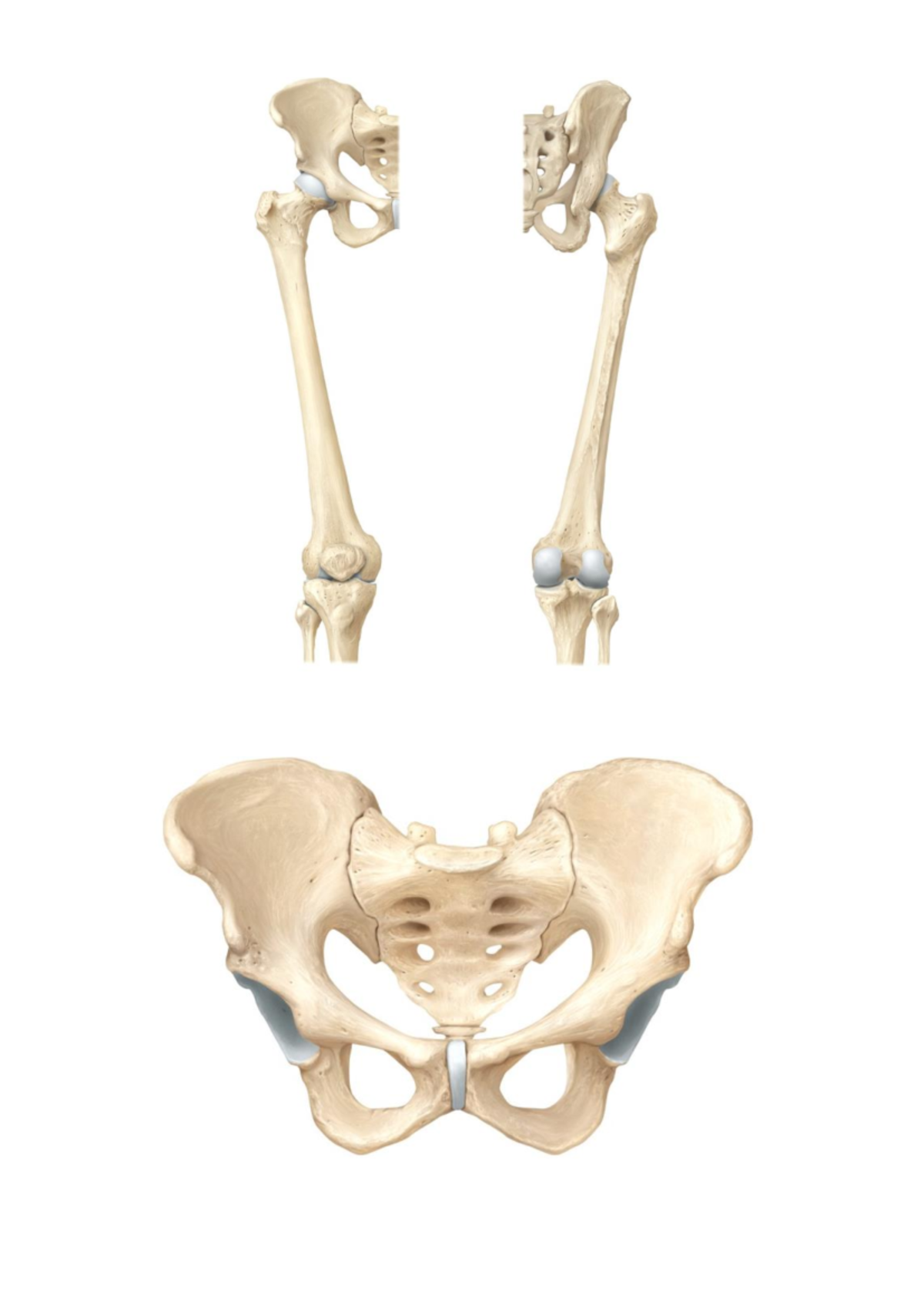 Blank+Images+-+Week+11 - 7202 - t T STATE N - Studocu