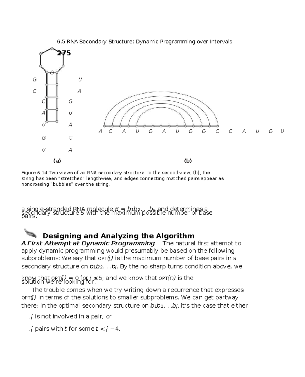 Dynamic Programming for RNA Secondary Structure: Algorithm Design 300 ...