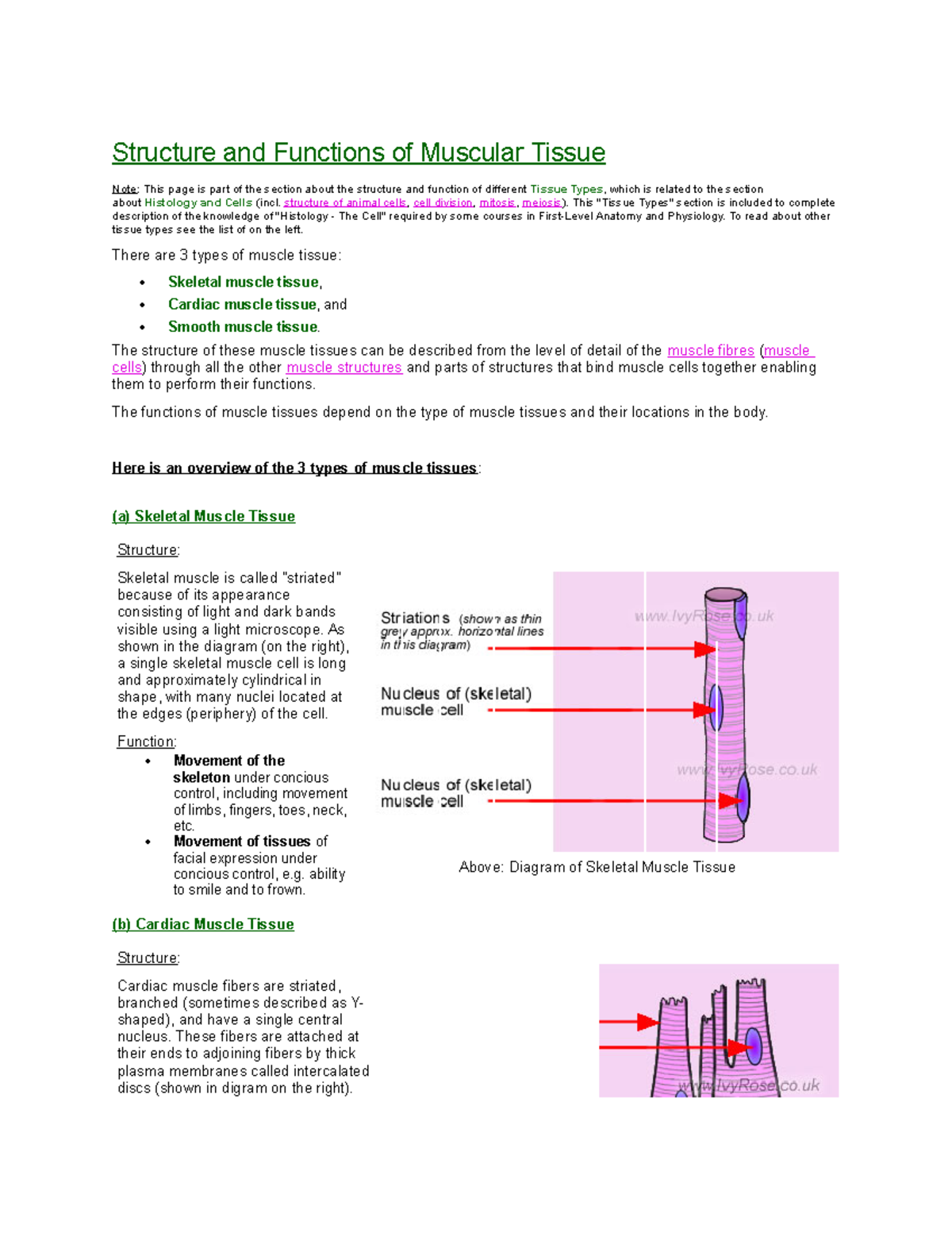 385550259 Structure and Functions of Skeletal, Cardiac, and Smooth ...