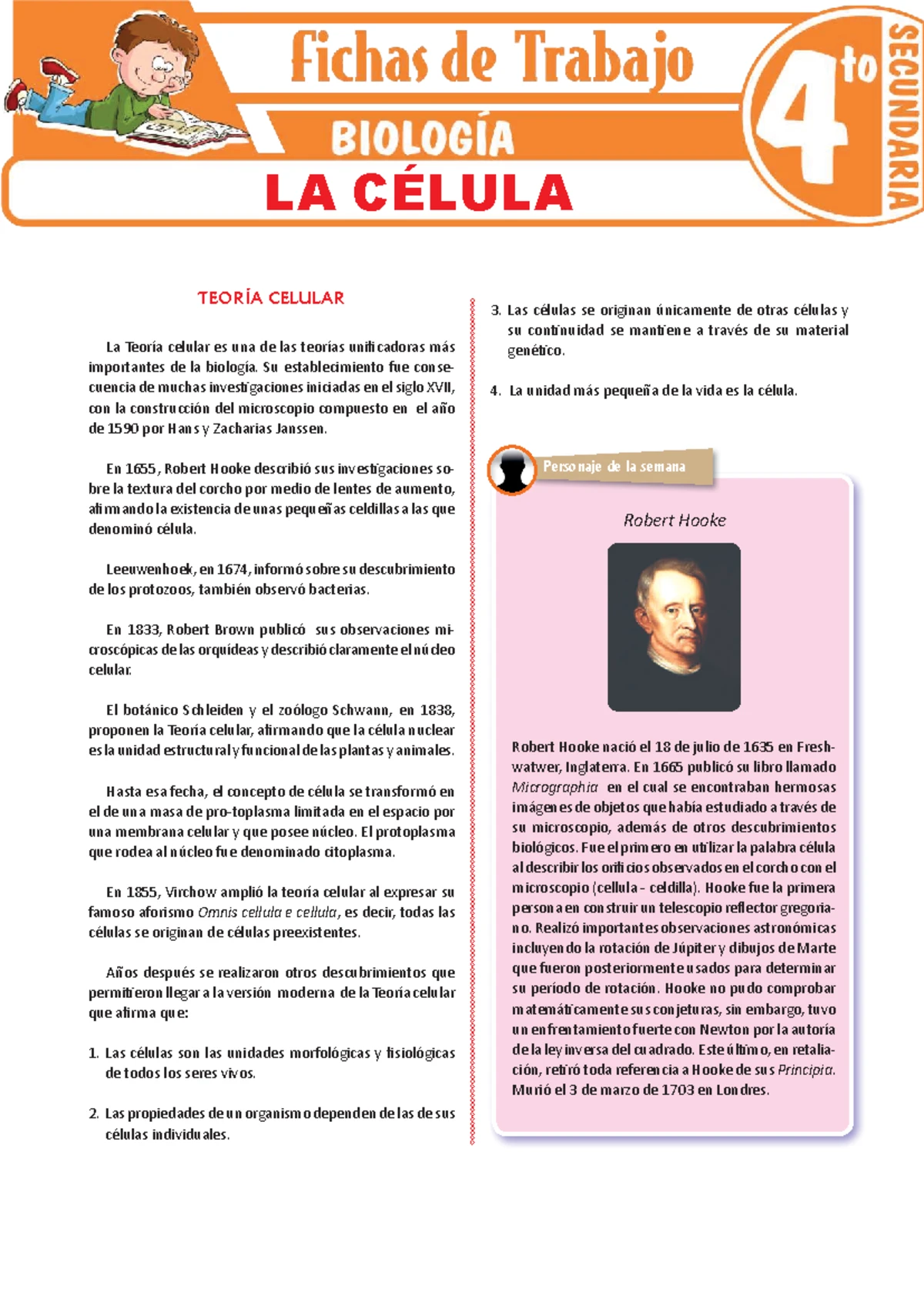 HBS EOC Study Guide: Key Questions on Human Body Systems and Functions ...