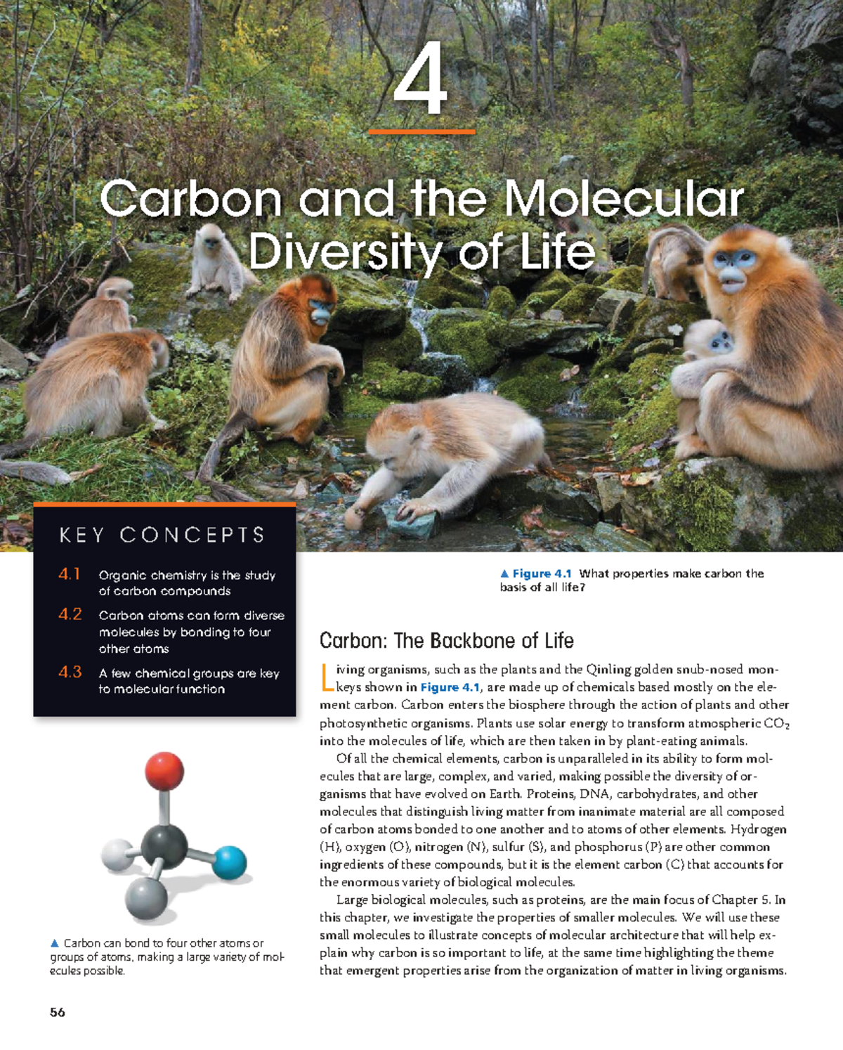 Biological Molecules and Their Functions: A Comprehensive Overview (BIO ...