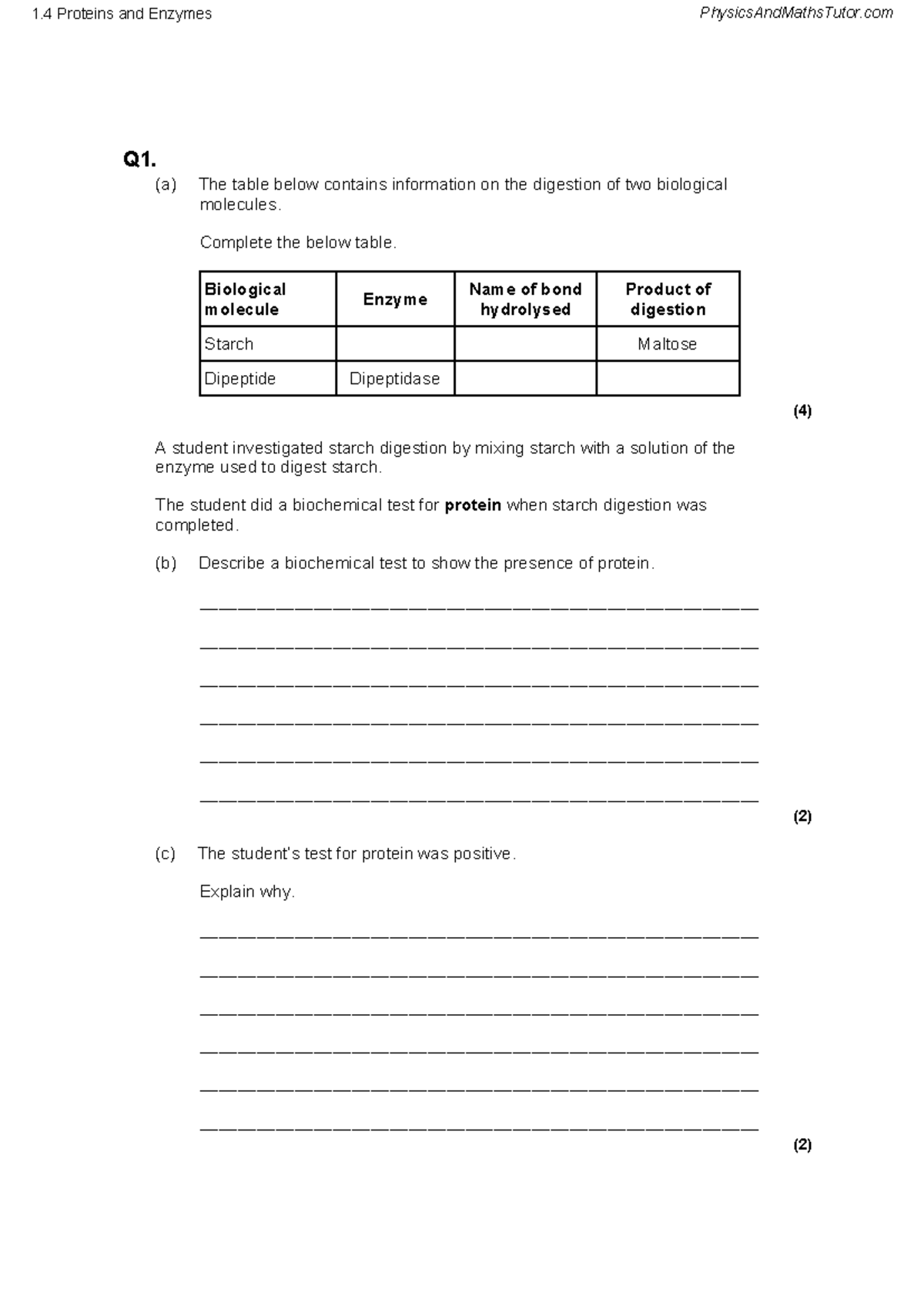 1.4 Proteins and Enzymes Study Guide - Studocu