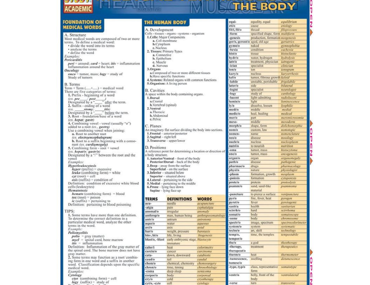 Common Medical Abbreviations-6 - Medical Terminology Information Sheet: Medical Chart Organization: - Studocu for Free Printable Medical Terminology List