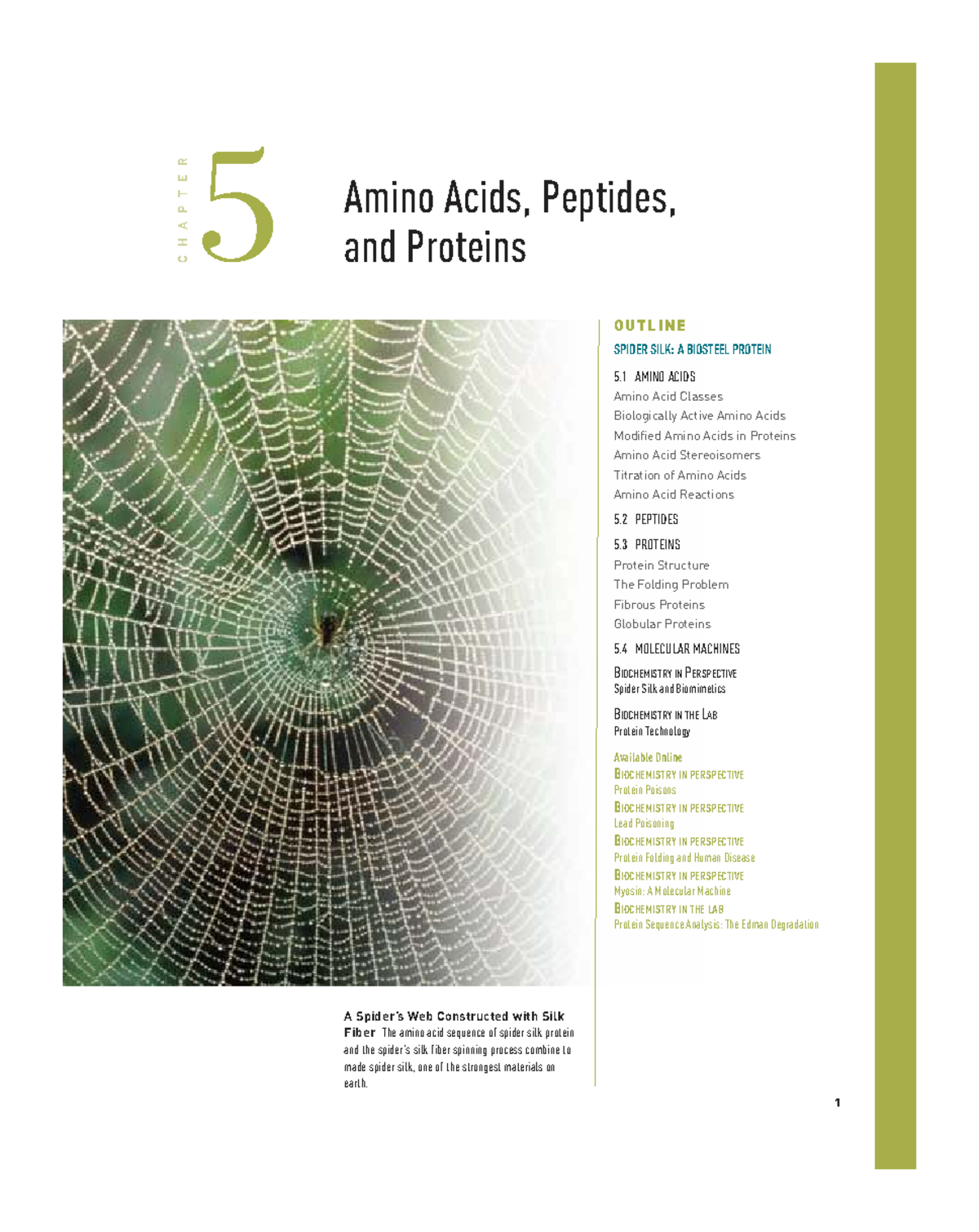 Chapter 5: Amino Acids, Peptides, and Proteins - Study Notes for ...