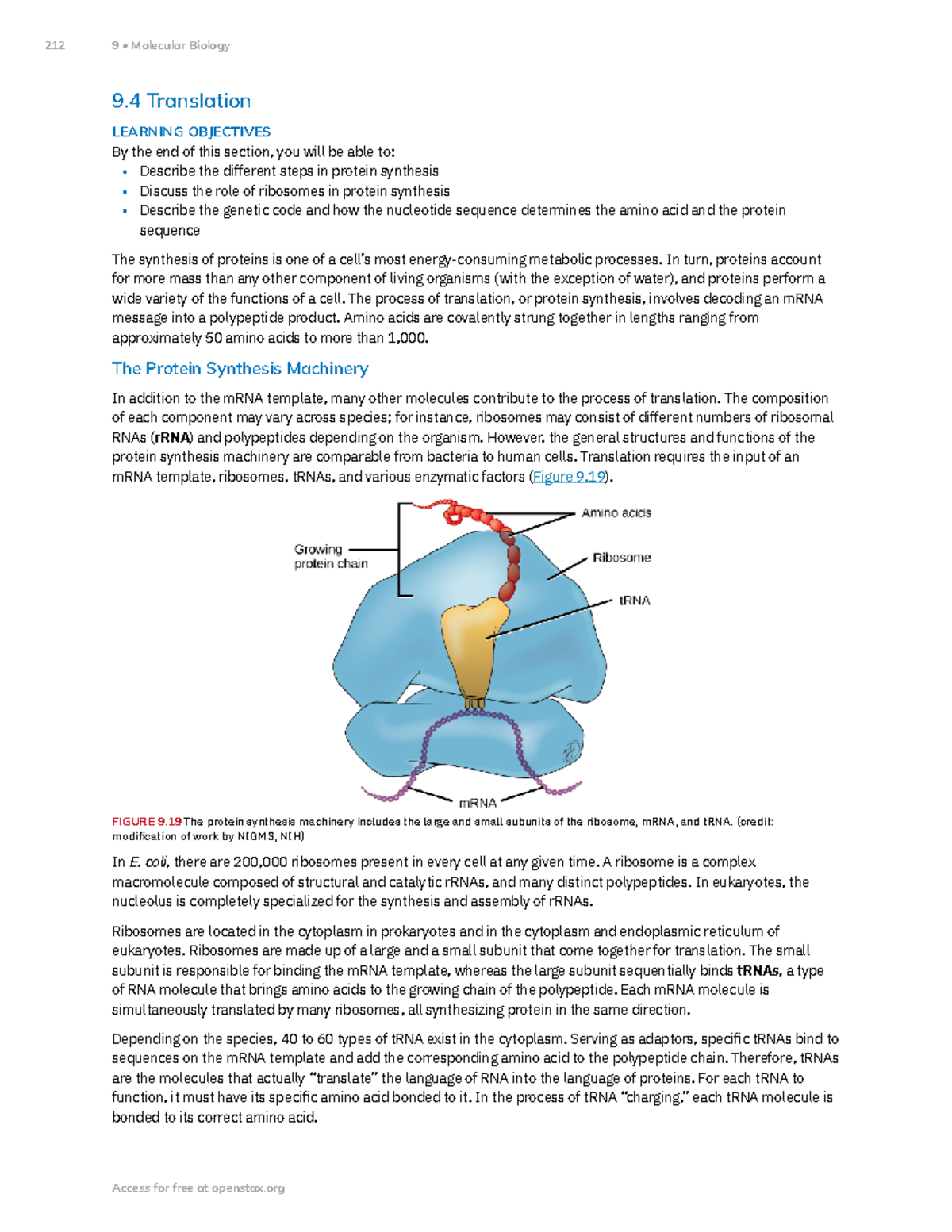 Protein Synthesis and the Role of Ribosomes in Gene Expression - 9 ...