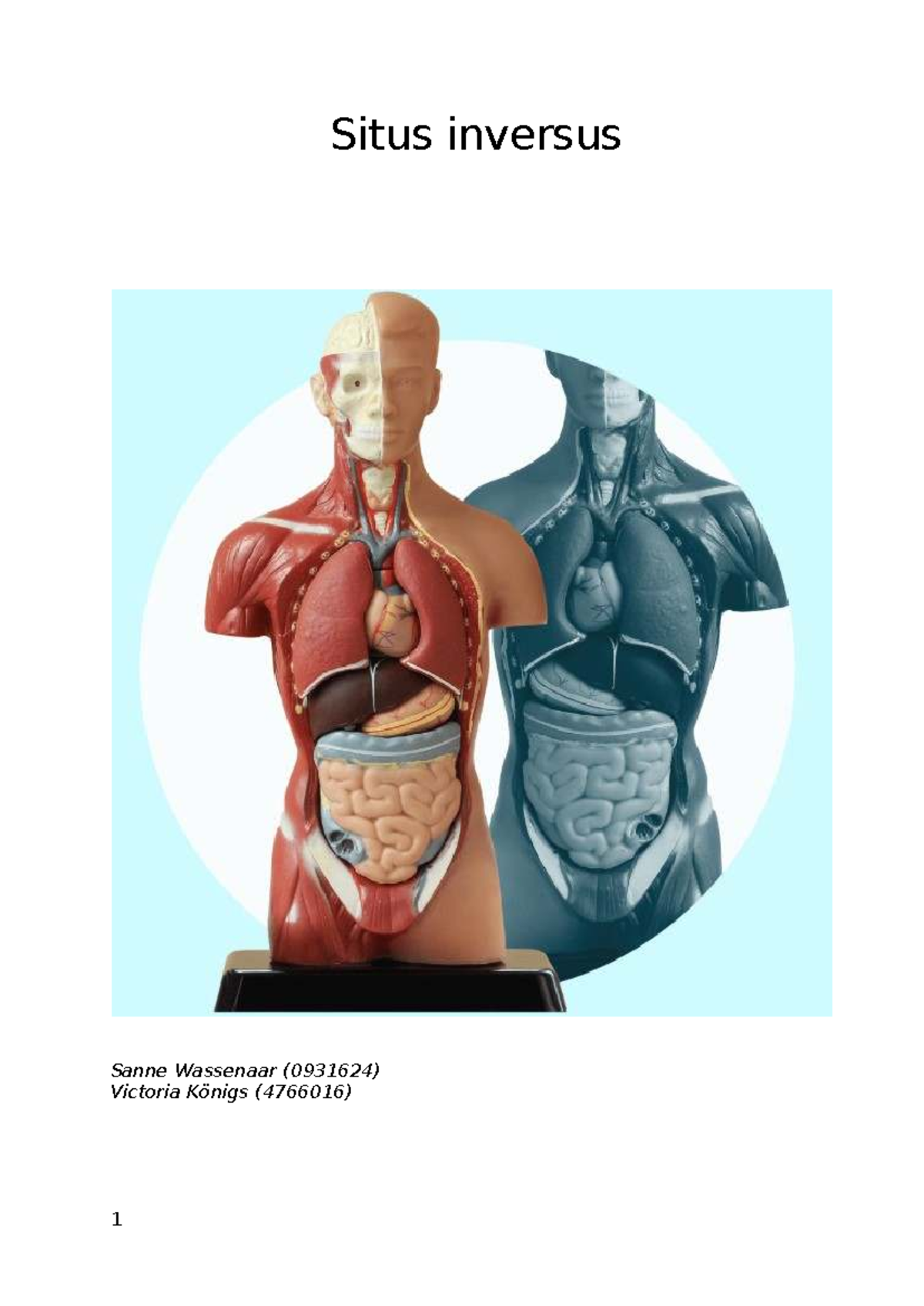 Situs Inversus: Morfologie, Etiologie en Diagnostiek (0931624 ...