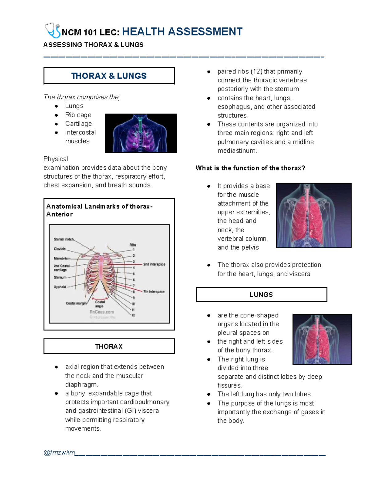NCM 101 LEC: Comprehensive Health Assessment of Thorax & Lungs - Studocu