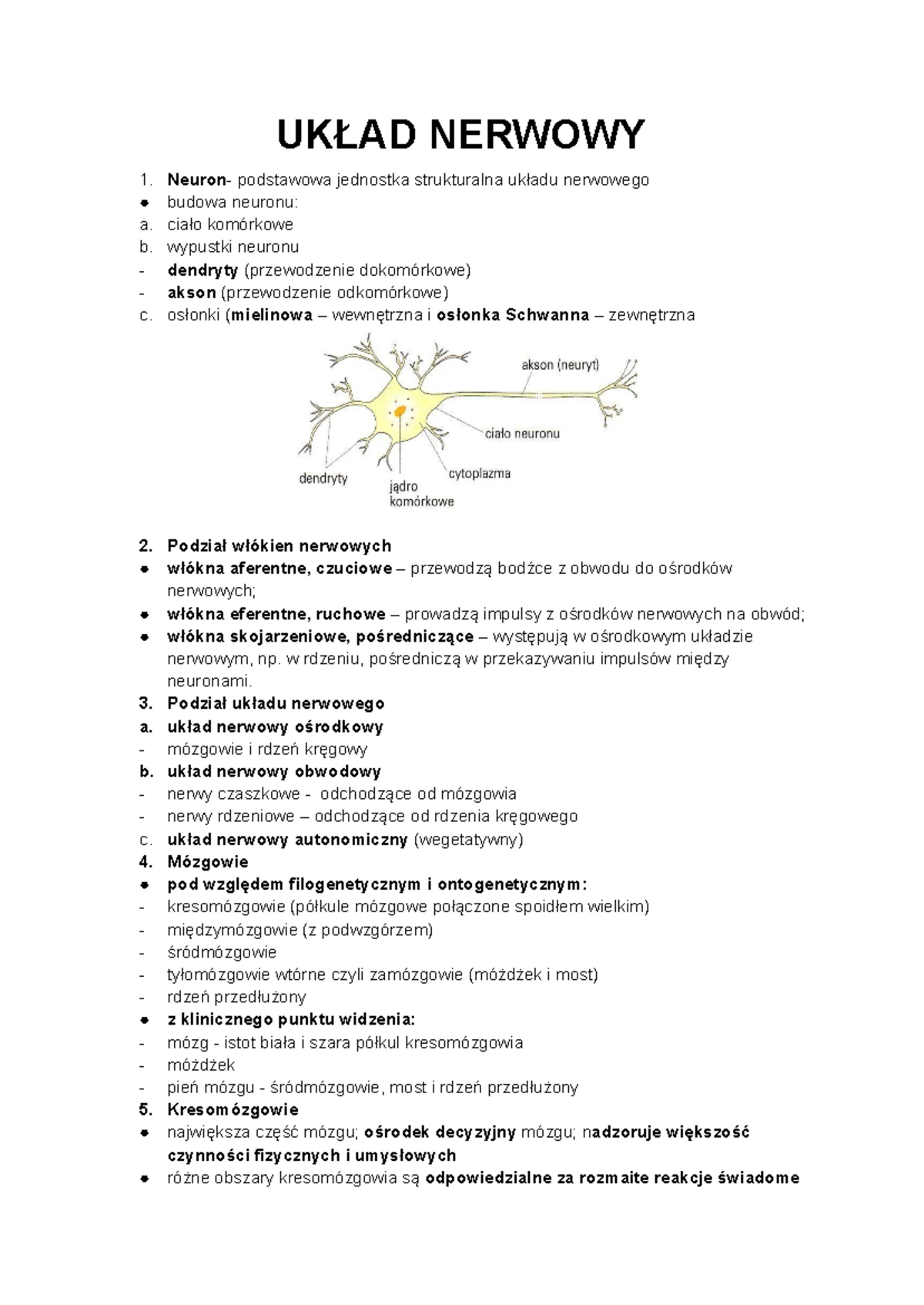 Układ Nerwowy Sprawdzian 2 Gimnazjum Miał Ktos www.studocu.com