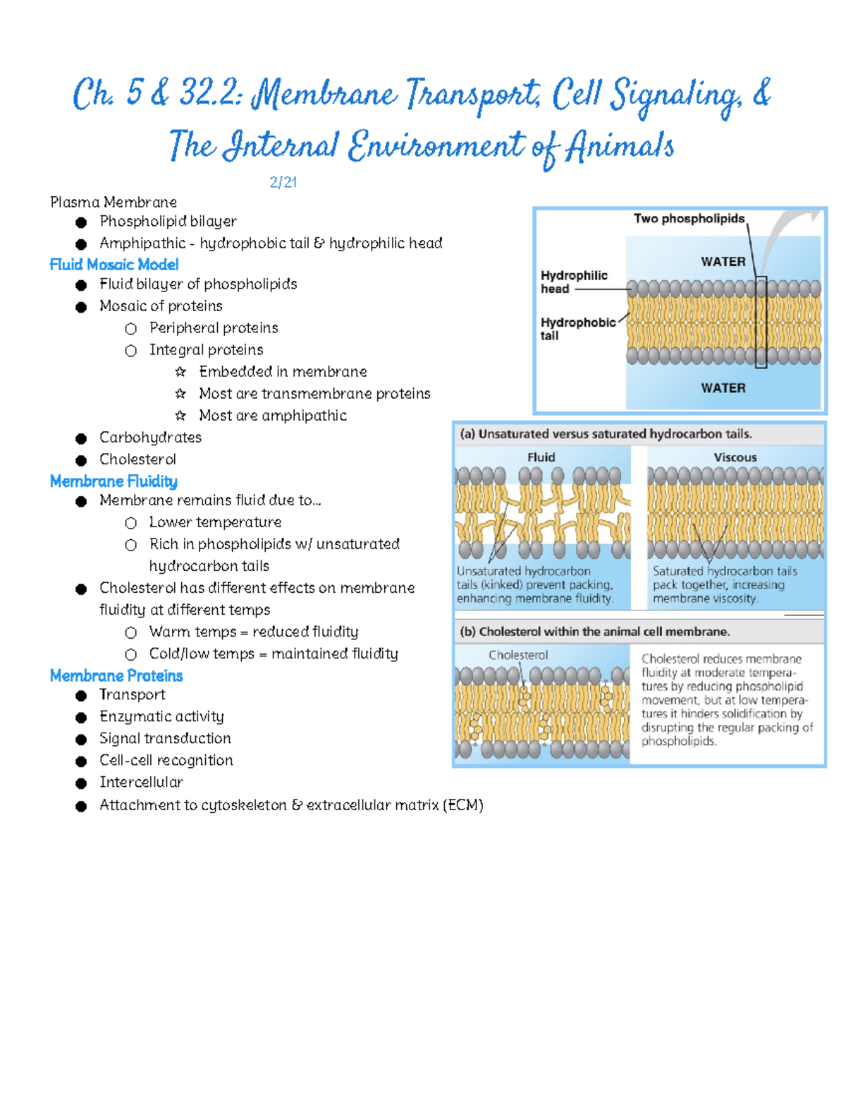 Ch. 5 & 32.2: Membrane Transport, Cell Signaling & Animal Internal Env ...