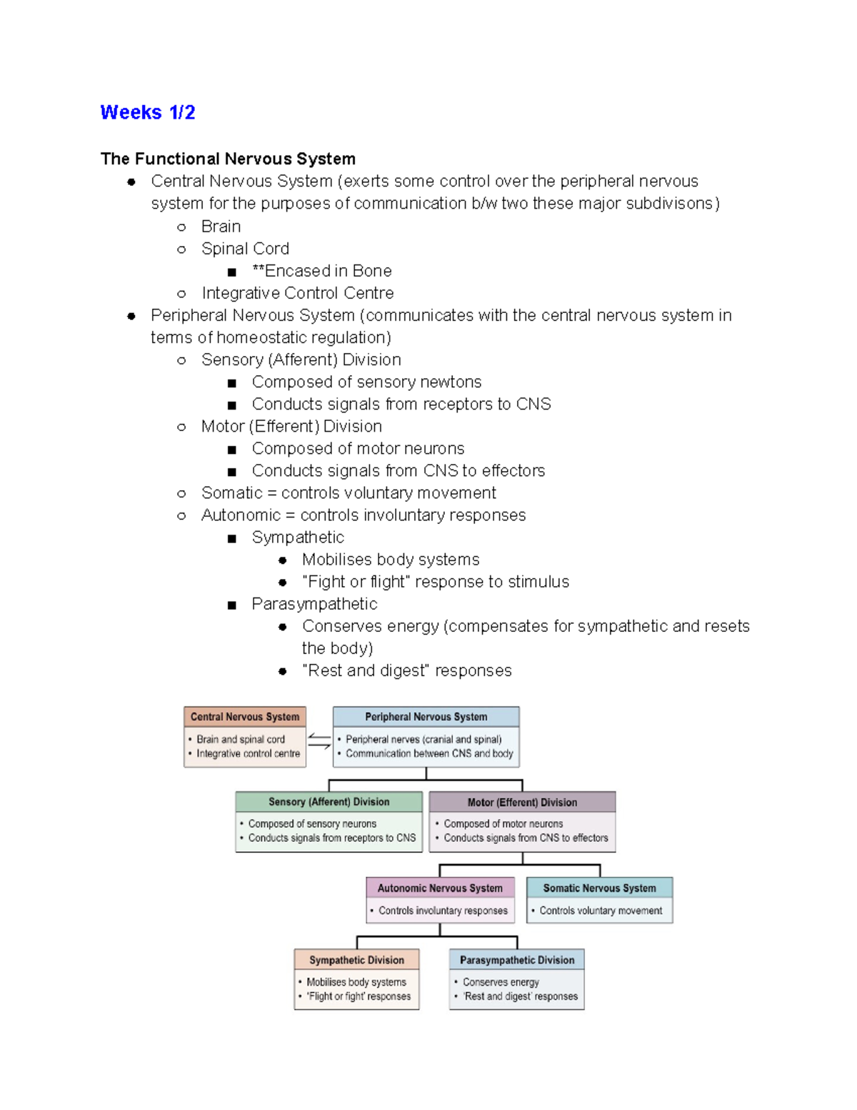 Neurobiology Notes Exam 1 - Weeks 1/ The Functional Nervous System ...