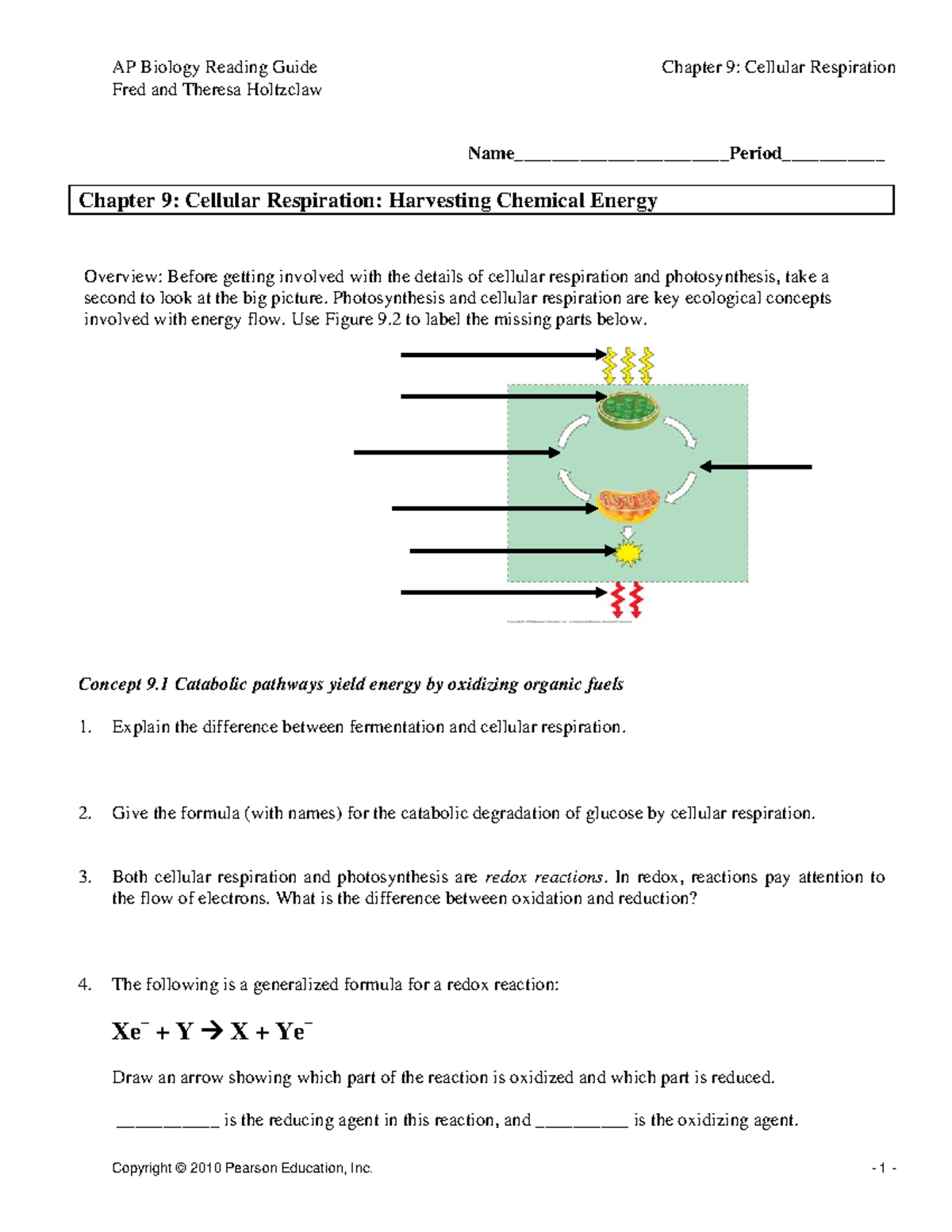 Chapter 9: Cellular Respiration - Key Concepts and Summary Notes - Studocu