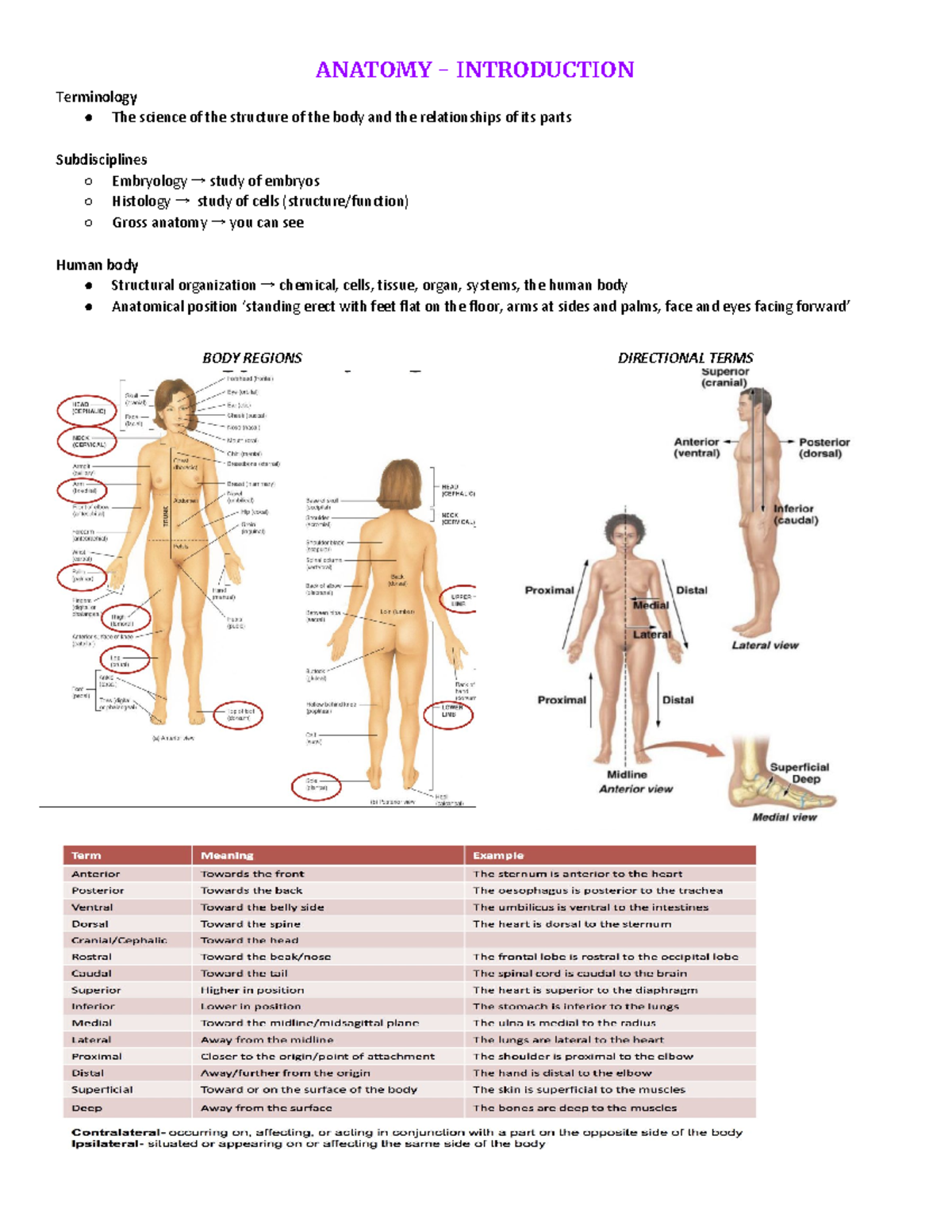 ANAT1001 - Comprehensive Notes on Human Anatomy Concepts - Studocu