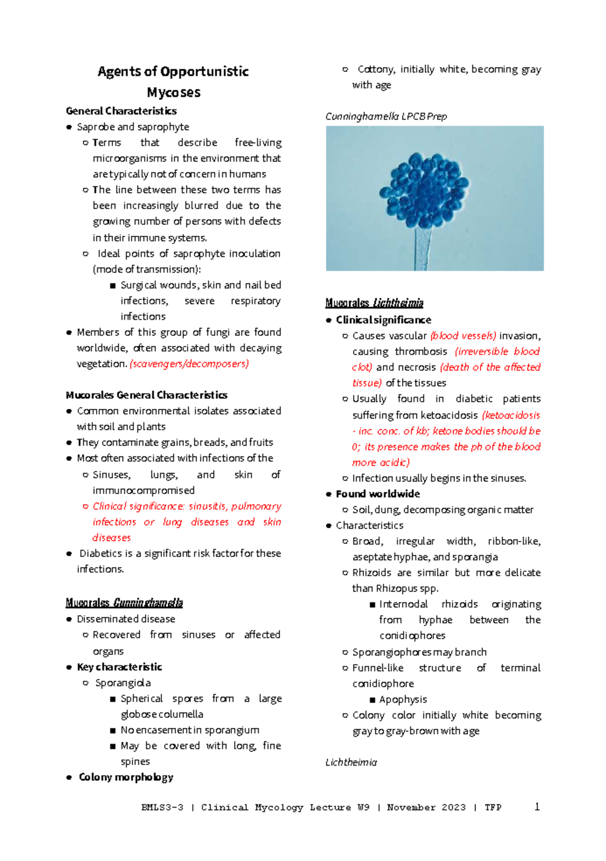 MYCO 2023 W9 - Agents of Opportunistic Mycoses Overview - Studocu