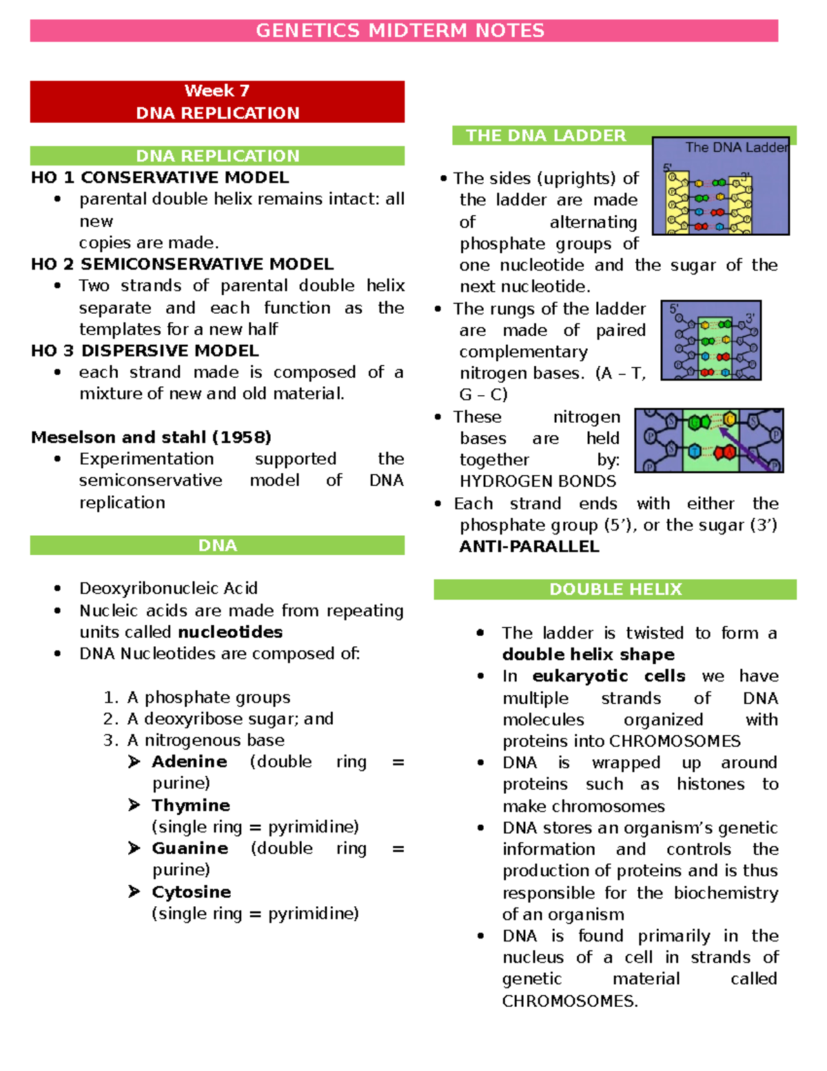 GENE311 - Midterm Study Notes on DNA Replication and Genetic Code - Studocu