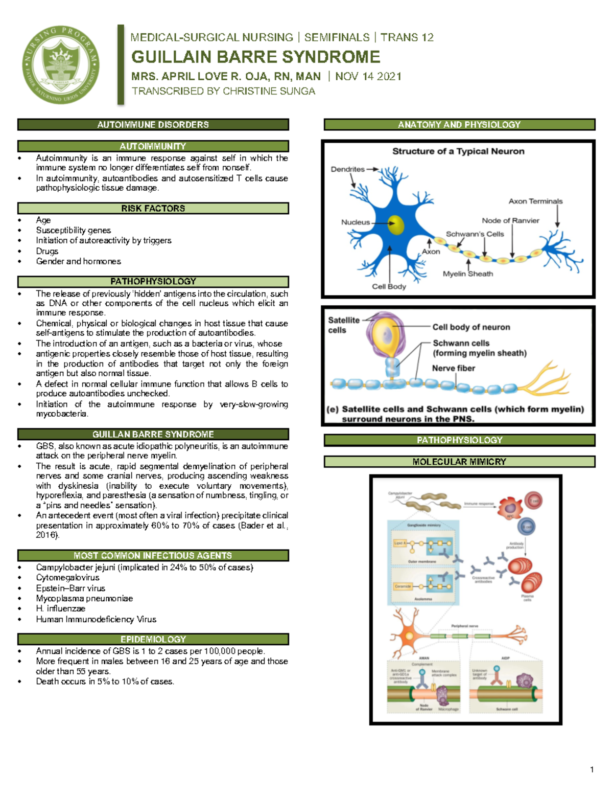 [MS] Trans 12 - Guillain Barre Syndrome: Pathophysiology & Management ...
