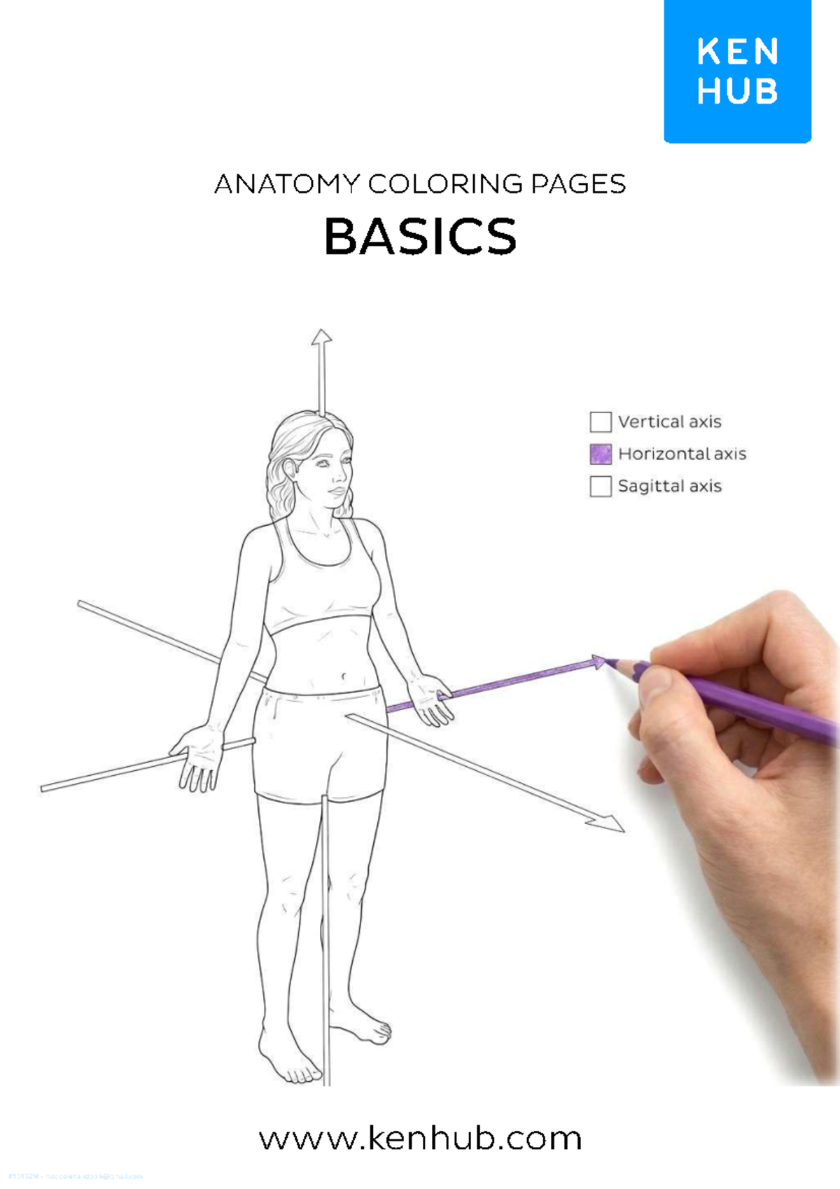 ANATOMY 01 Basics Coloring Pages: Learn Anatomical Concepts - Studocu